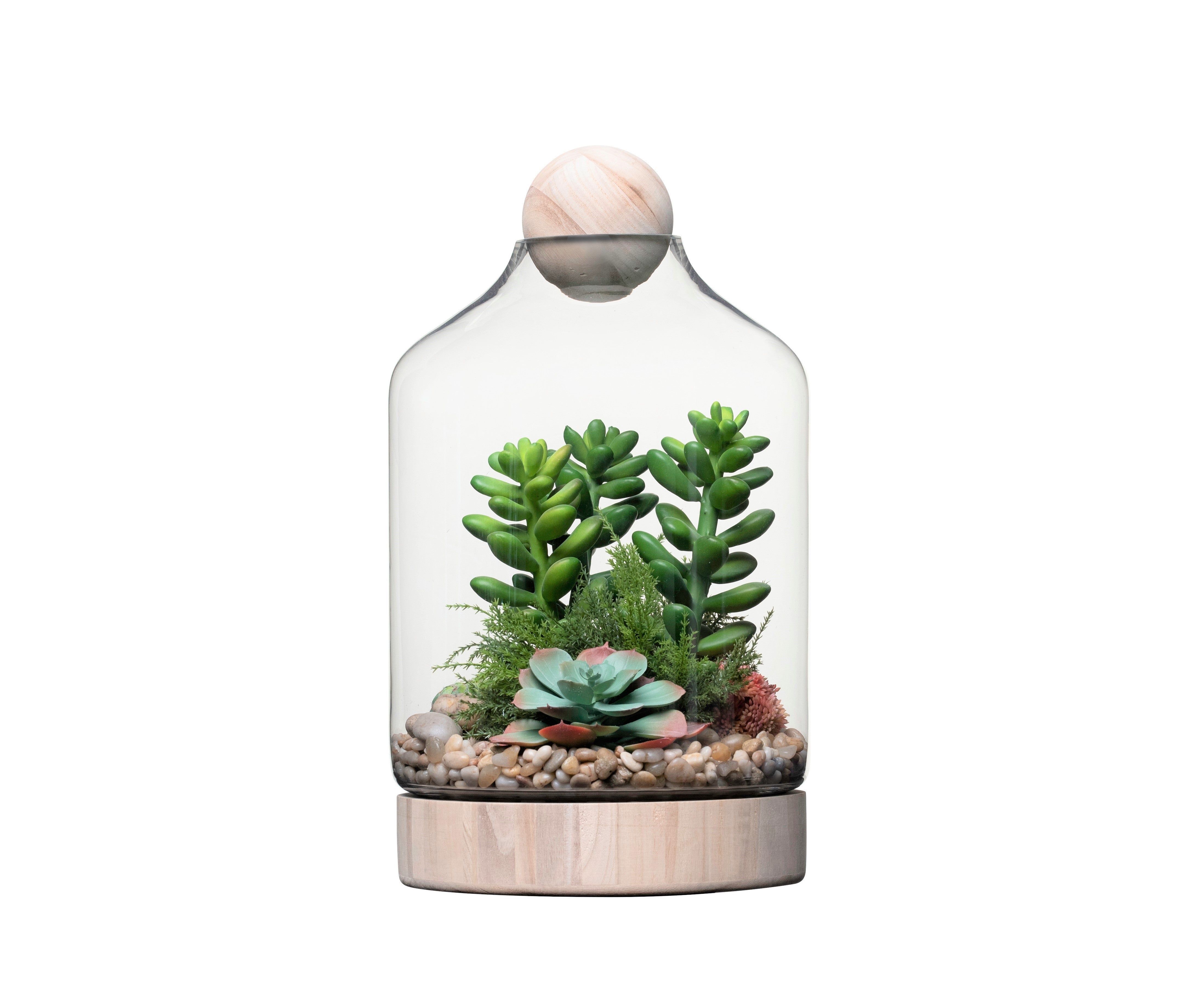 19" Chileno Terrarium with Succulent Arrangement   AR1336