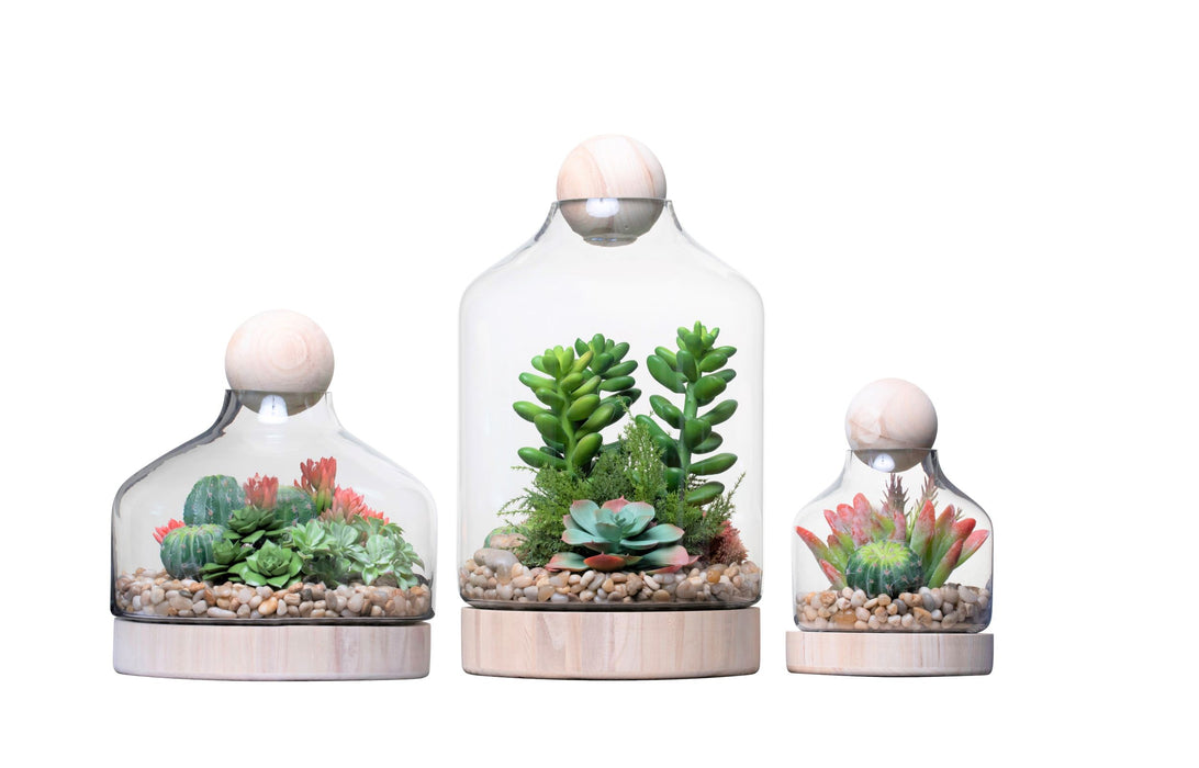 Chileno Terrarium Collection With Wood Topper    GL1017