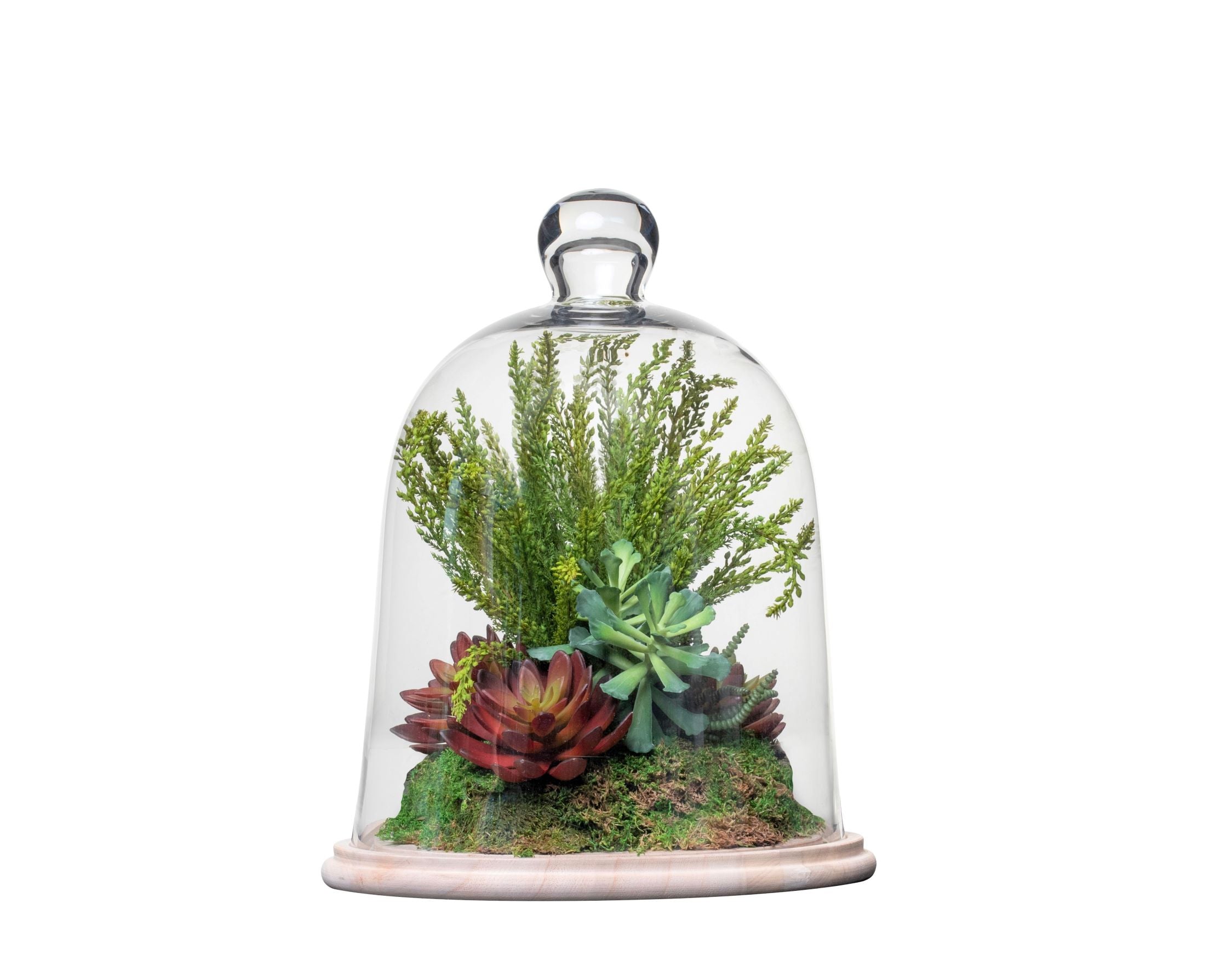 13.5" Medano Glass Terrarium        GL1018