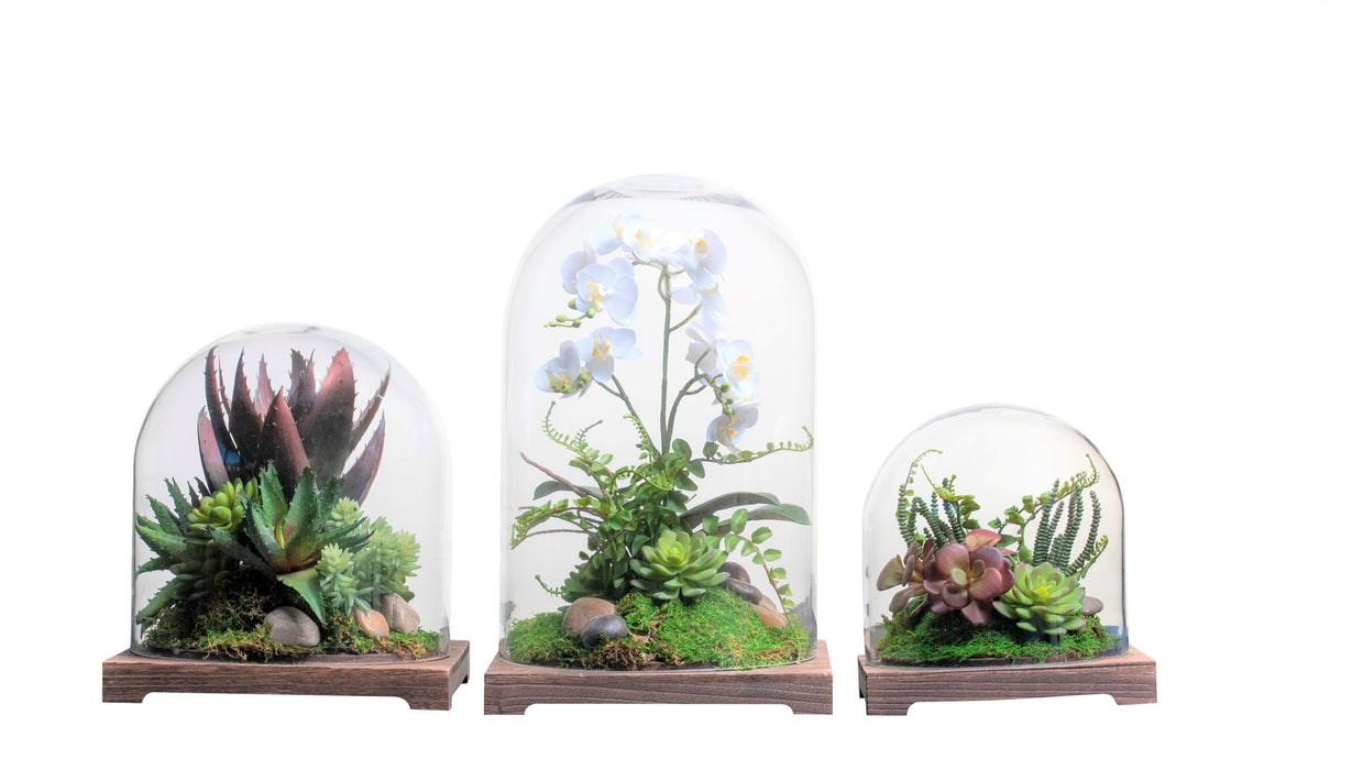 Cabo Glass Terrarium With Wood Base    GL1019