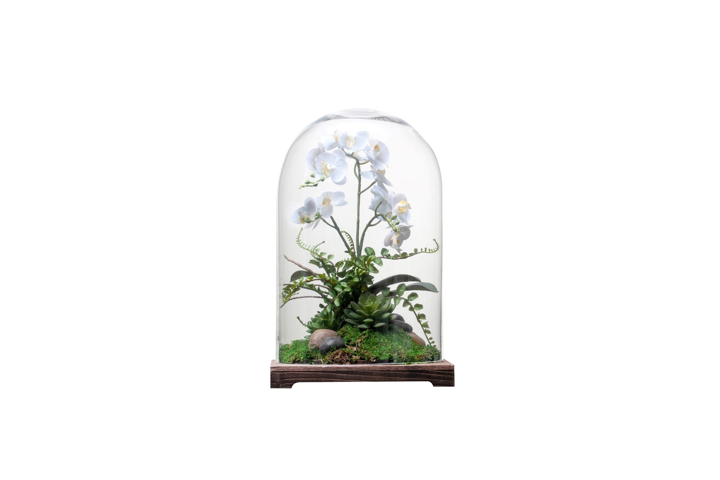 16" Cabo Terrarium with Orchid Arrangement   AR1341