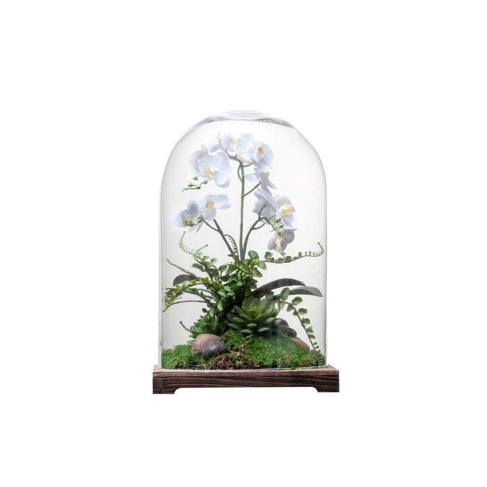 16" Cabo Terrarium with Orchid Arrangement   AR1341