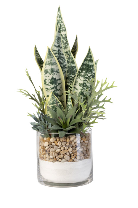 7" Glass Vase with Succulent Arrangement   AR1345