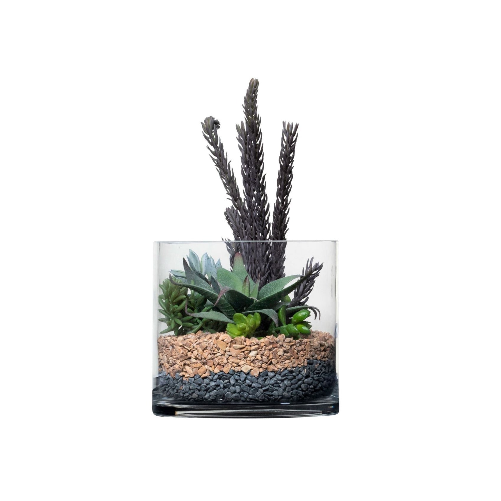 7" Glass Vase with Succulent Arrangement AR1347