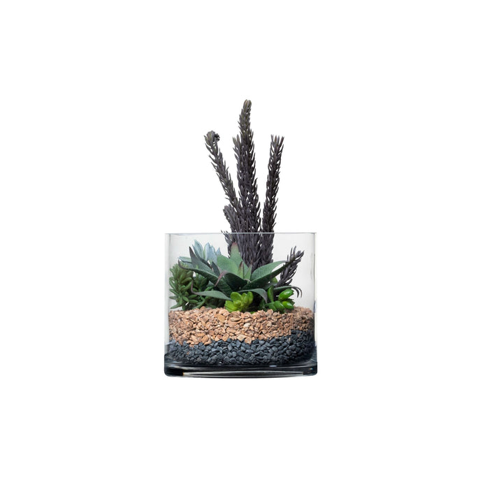 7" Glass Vase with Succulent Arrangement AR1347