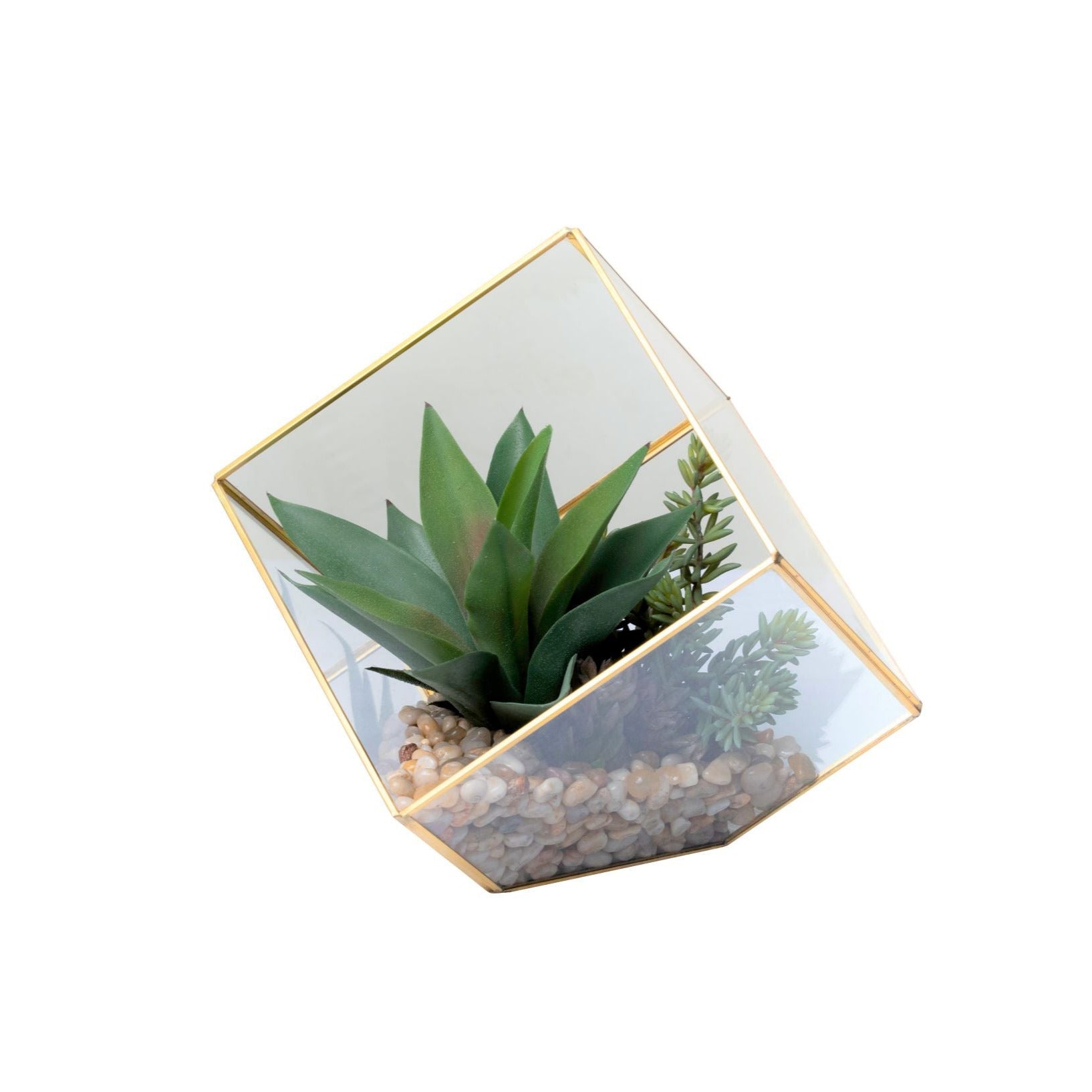 Medium Gold Berkley Terrarium Succulent Arrangement   AR1349