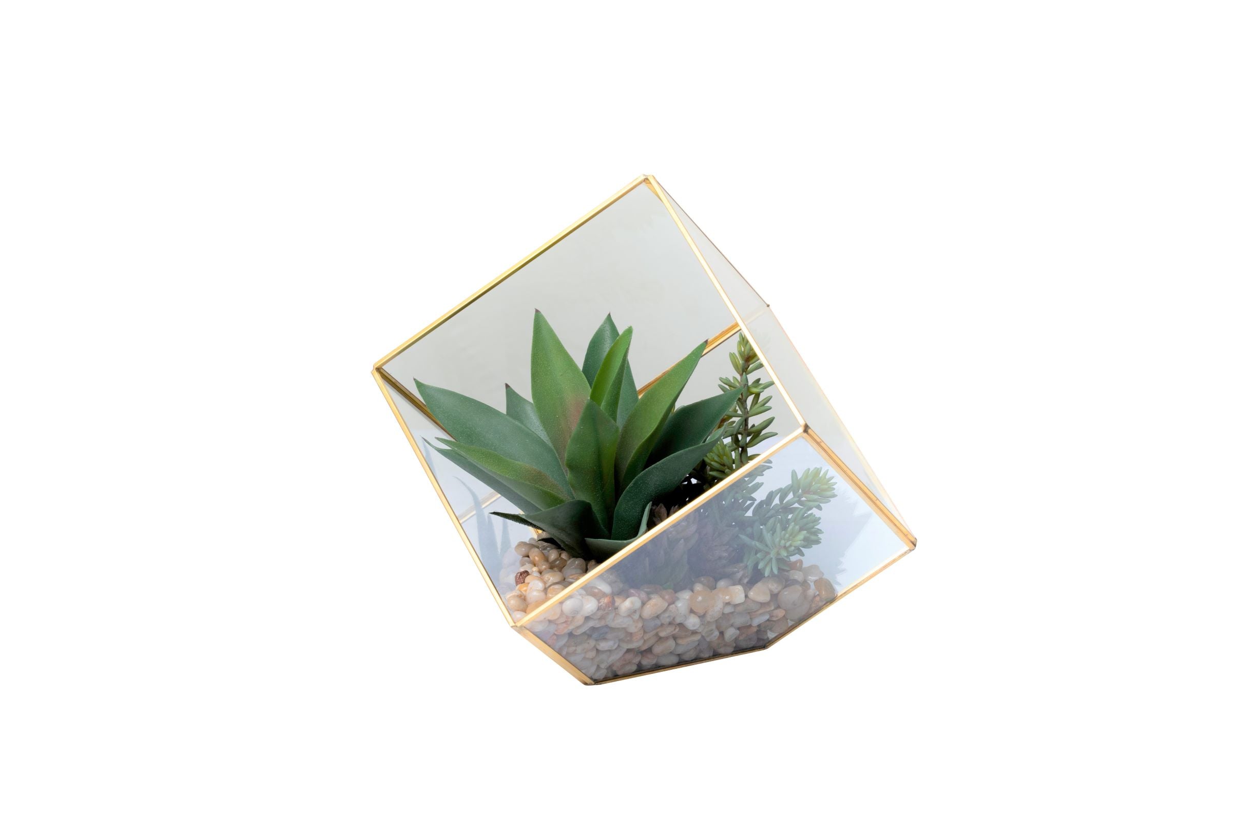 Medium Gold Berkley Terrarium Succulent Arrangement   AR1349