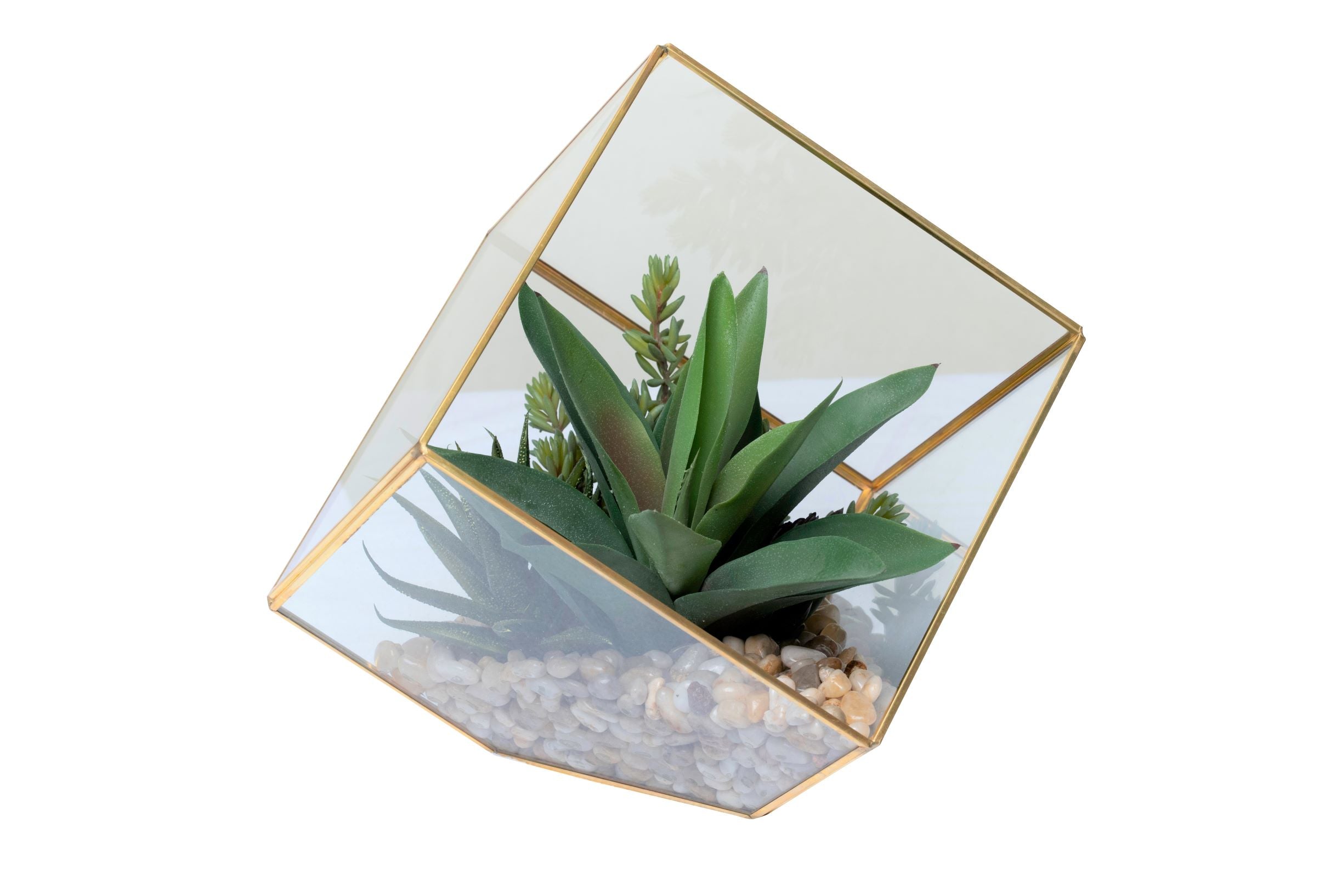 Medium Gold Berkley Terrarium Succulent Arrangement   AR1349