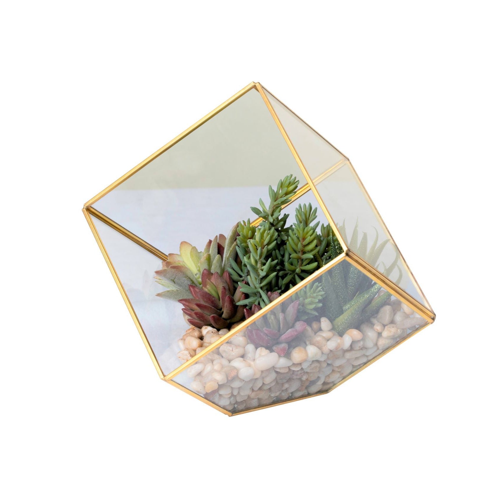Small Gold Berkley Terrarium Succulent Arrangement   AR1350