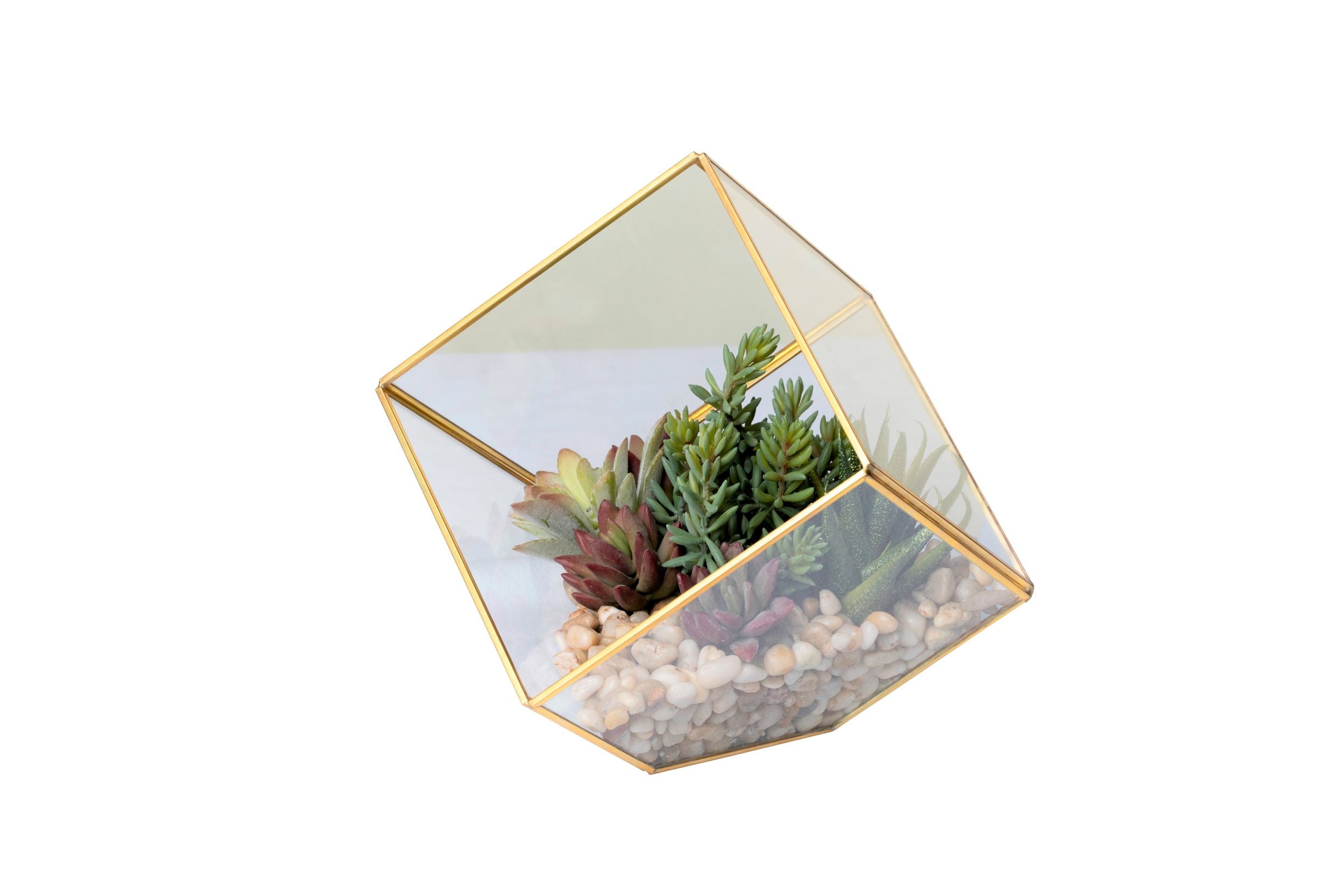 Small Gold Berkley Terrarium Succulent Arrangement   AR1350