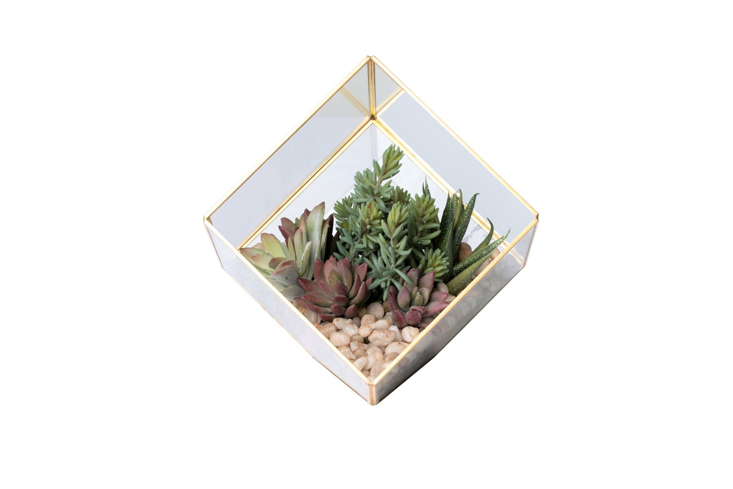 Small Gold Berkley Terrarium Succulent Arrangement   AR1350