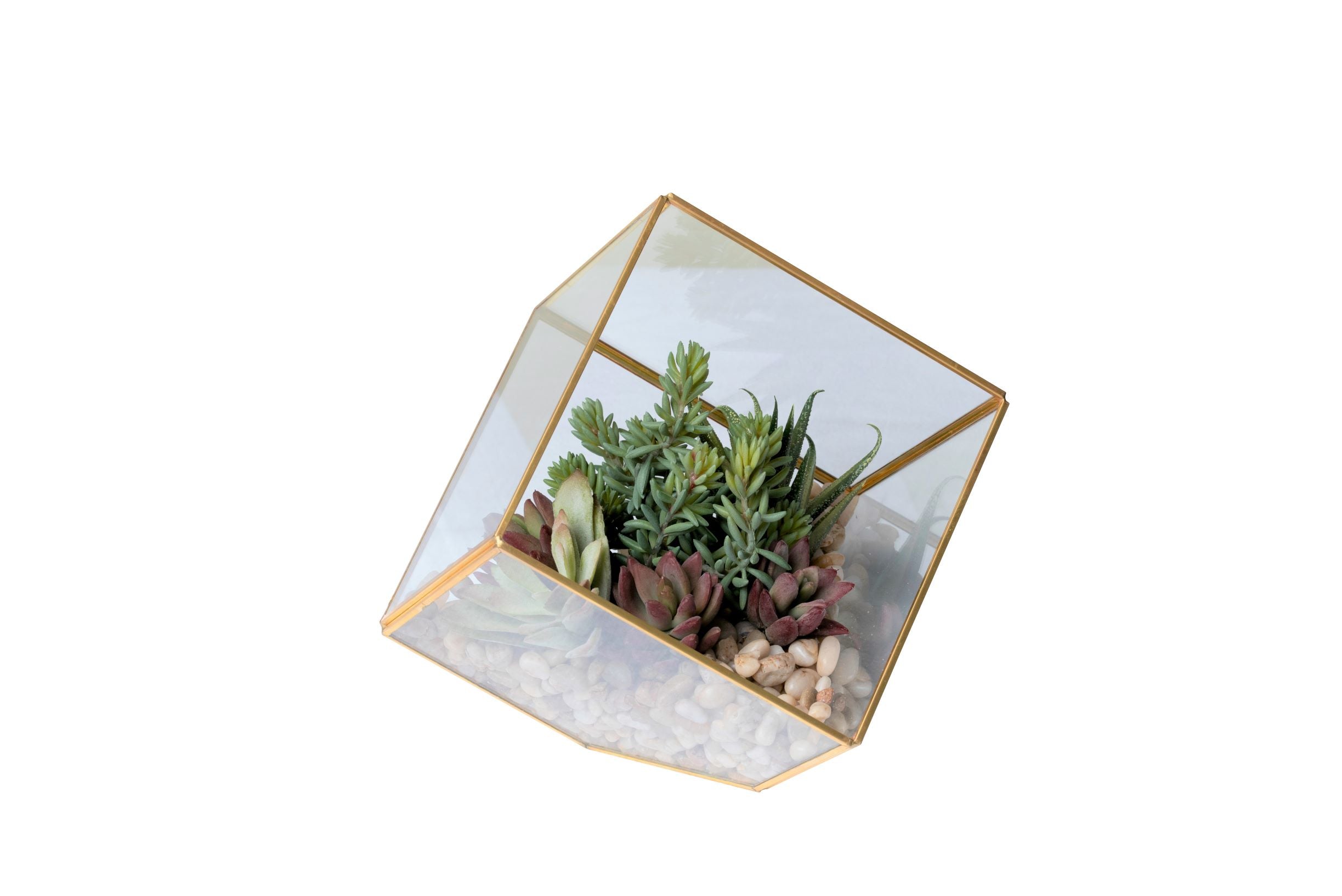 Small Gold Berkley Terrarium Succulent Arrangement   AR1350