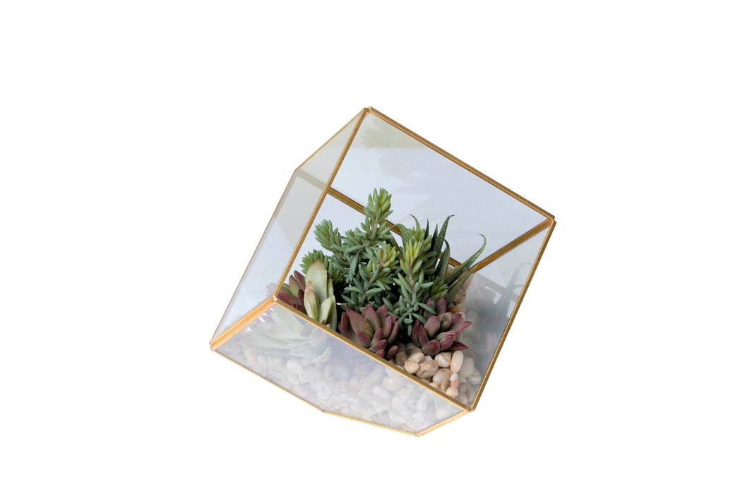 Small Gold Berkley Terrarium Succulent Arrangement   AR1350