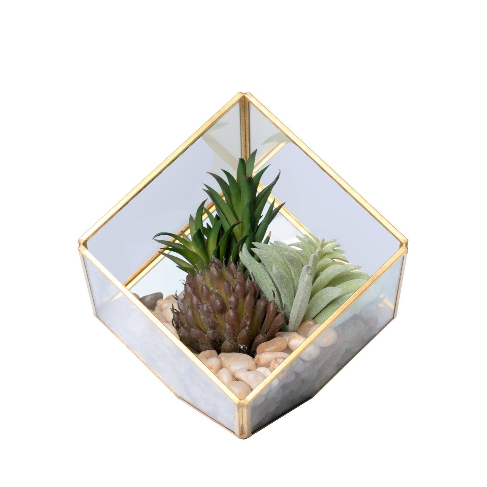 X-Small Gold Berkley Terrarium Arrangement AR1351