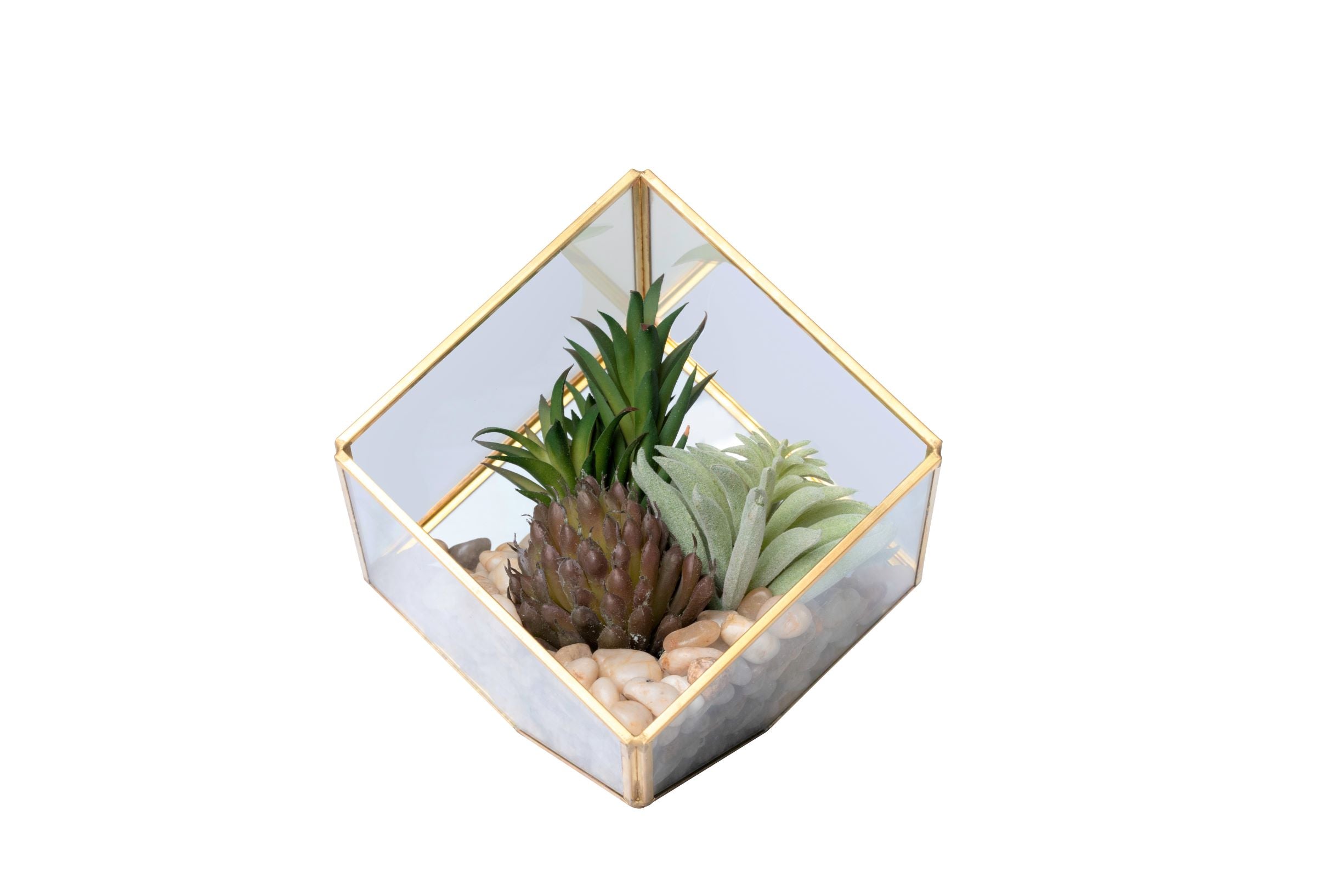 X-Small Gold Berkley Terrarium Arrangement AR1351