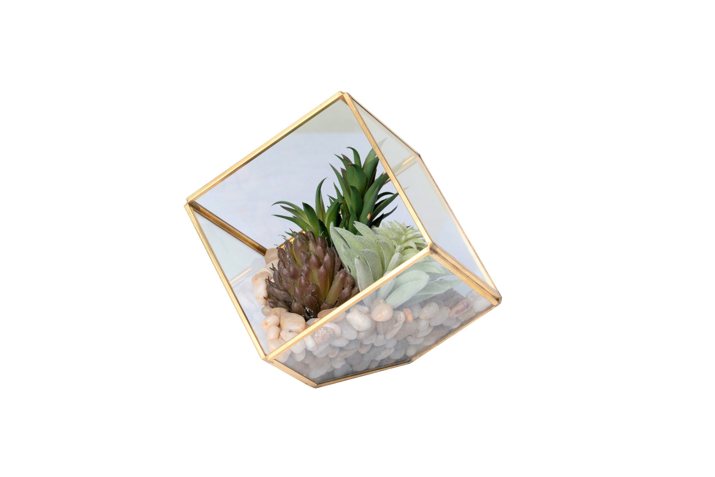 X-Small Gold Berkley Terrarium Arrangement AR1351