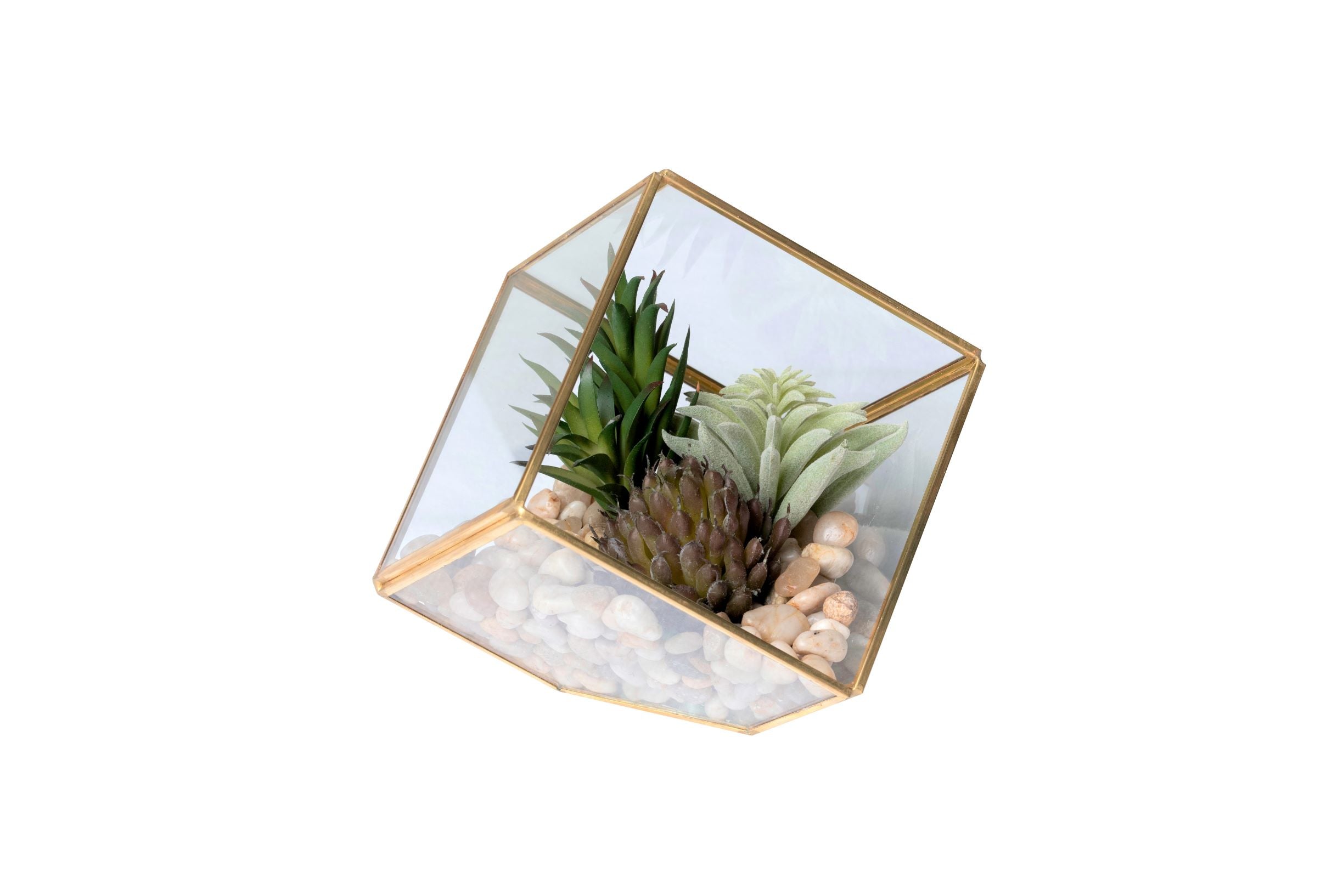 X-Small Gold Berkley Terrarium Arrangement AR1351