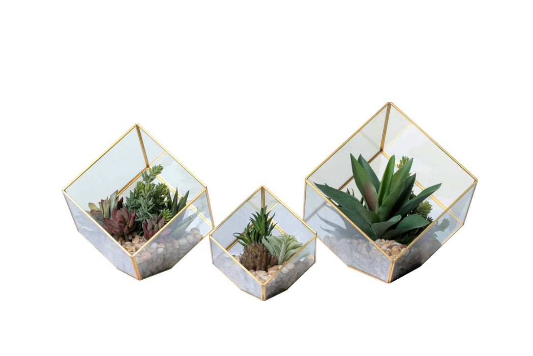 Berkley Terrarium Trio Gold Rimmed   AR1352