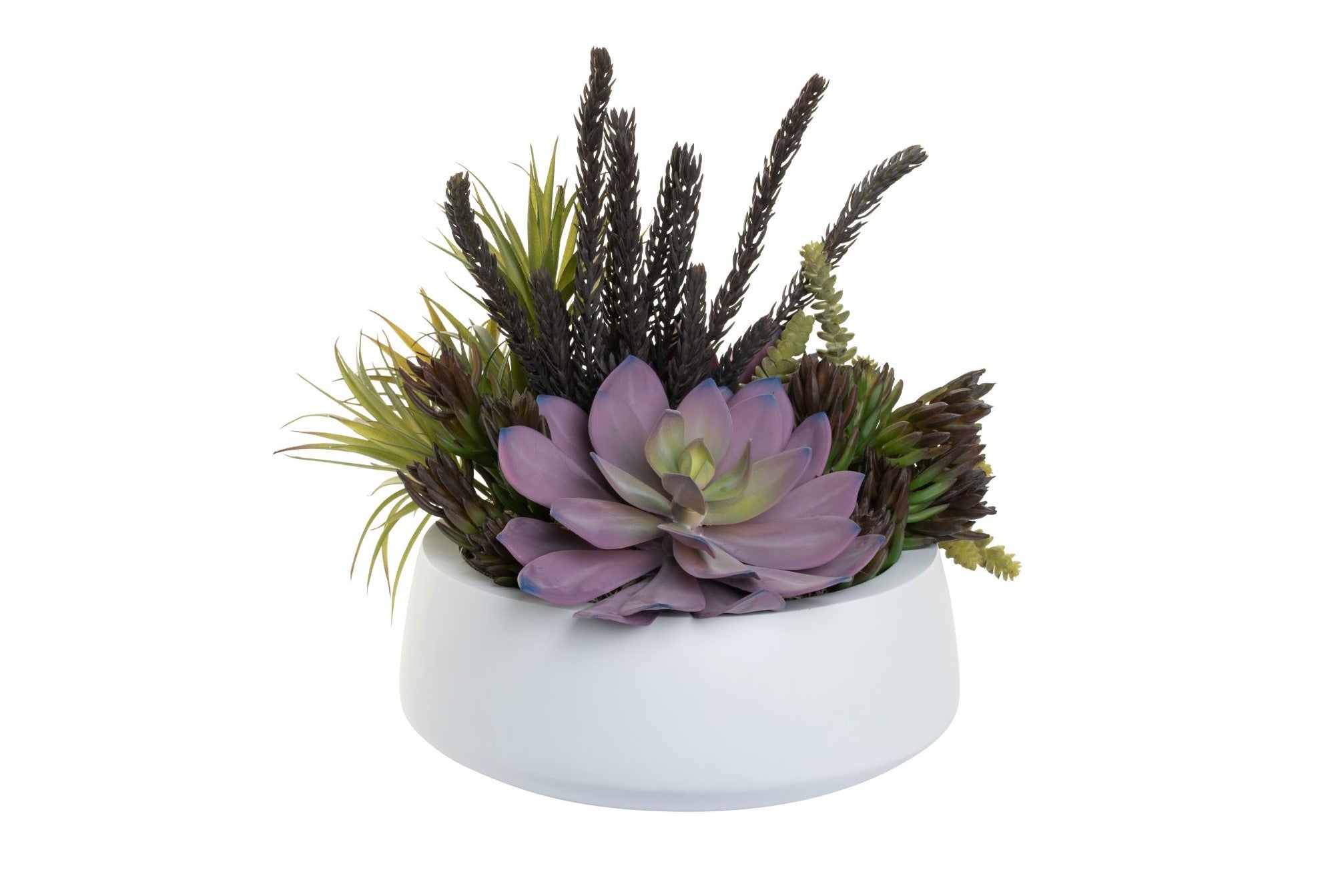 11" Edison Bowl With Succulent Arrangement   AR1379