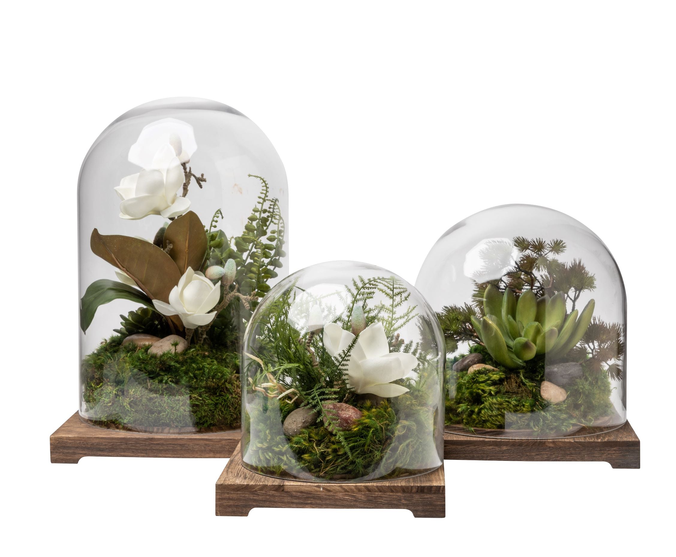 Cabo Terrarium Trio with Arrangements   AR1411