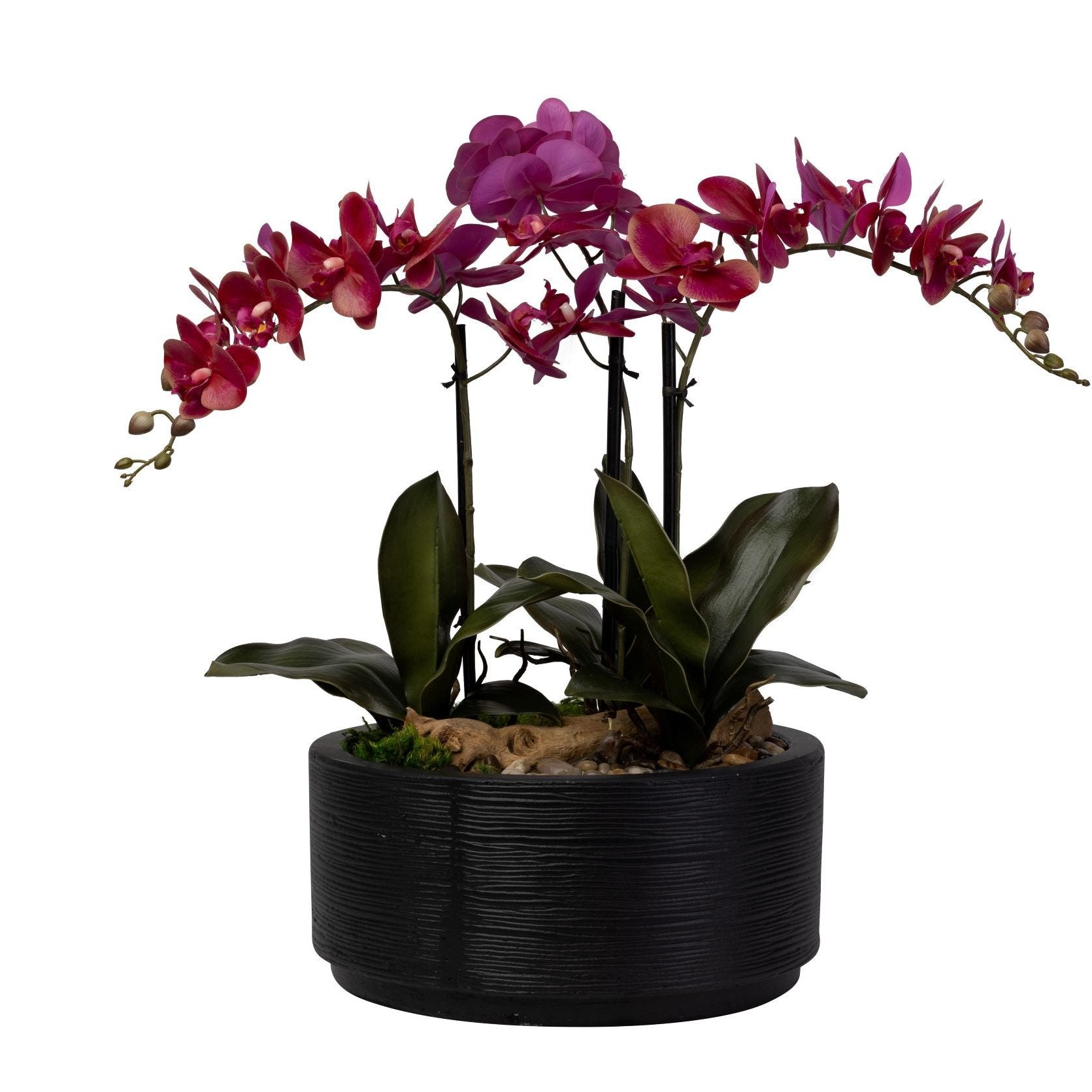 16" Sydney Bowl with Orchid Arrangement   AR1415