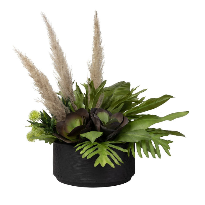 20" Sydney Bowl with Succulent Arrangement   AR1416