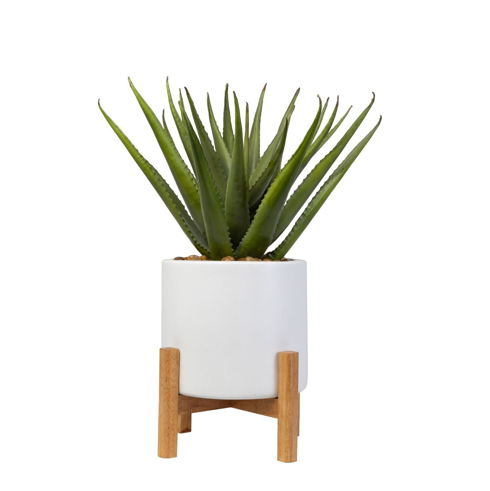 13" Korynn Planter with Agave Arrangement   AR1418