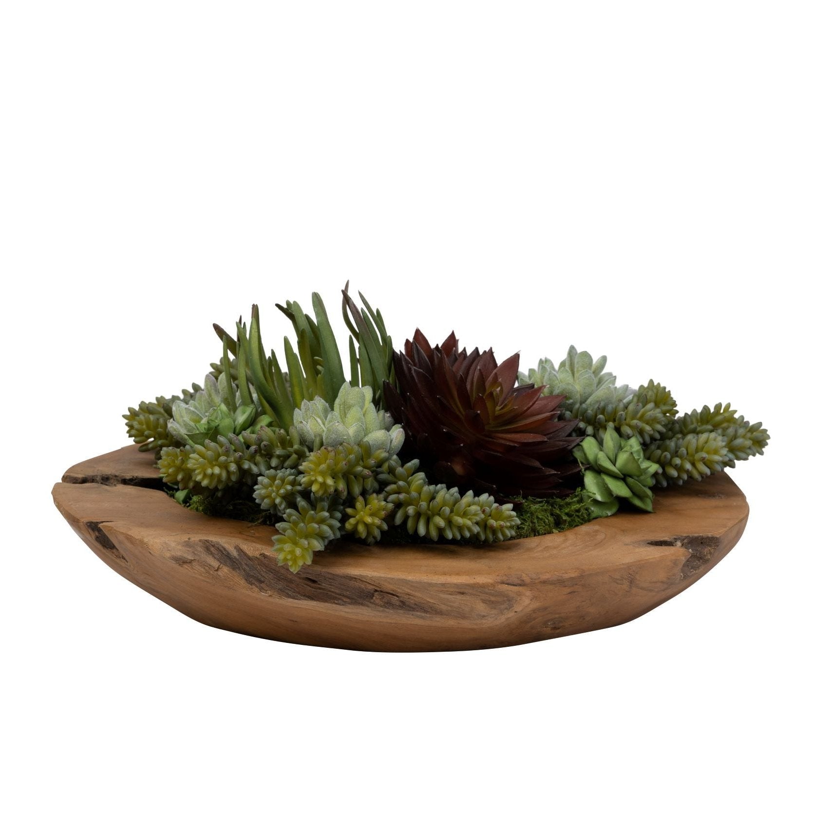 14" Java Teak Wood Bowl with Succulent Arrangement   AR1430