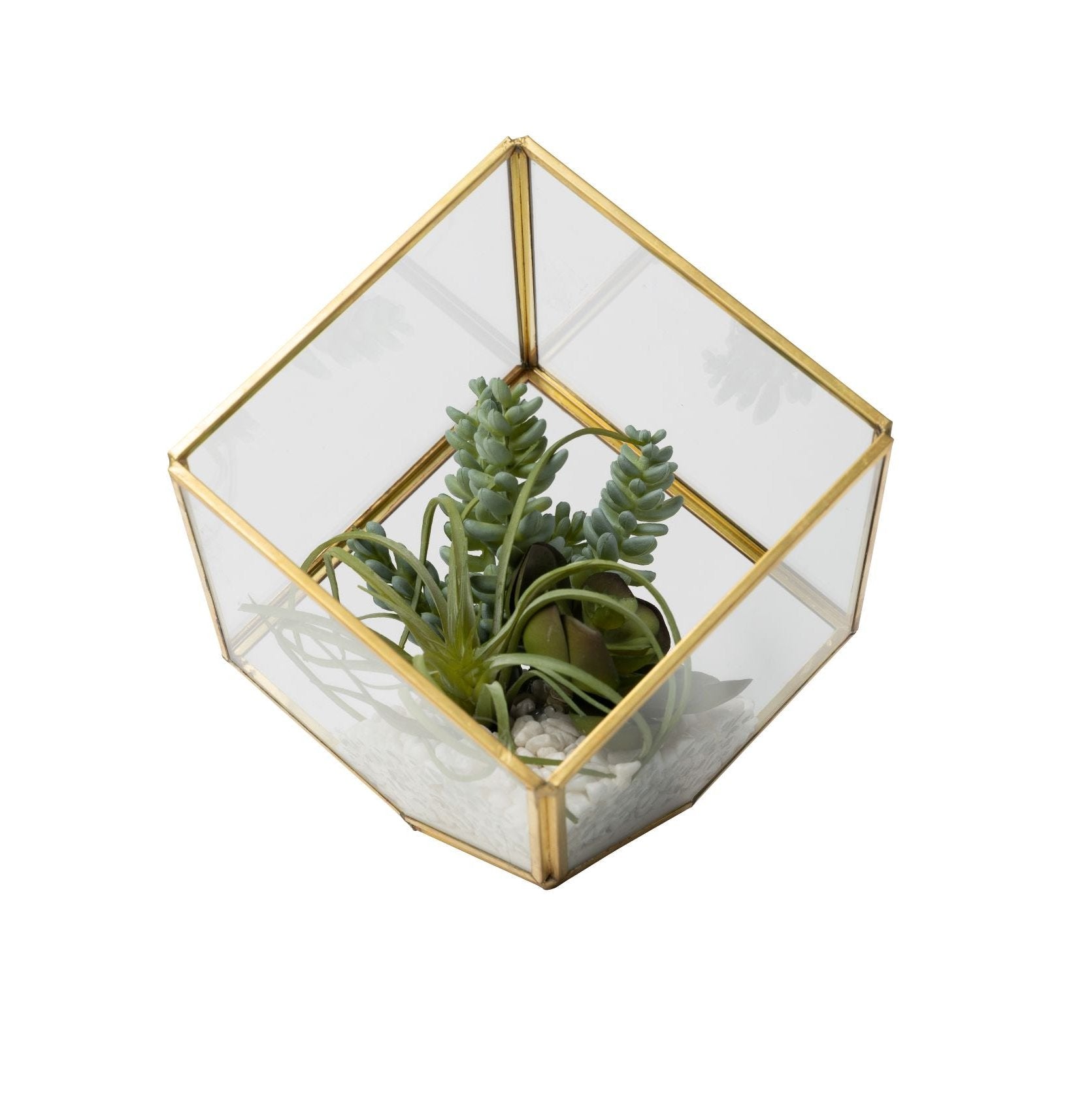 X-Small Gold Berkley Succulent Arrangement   AR1434