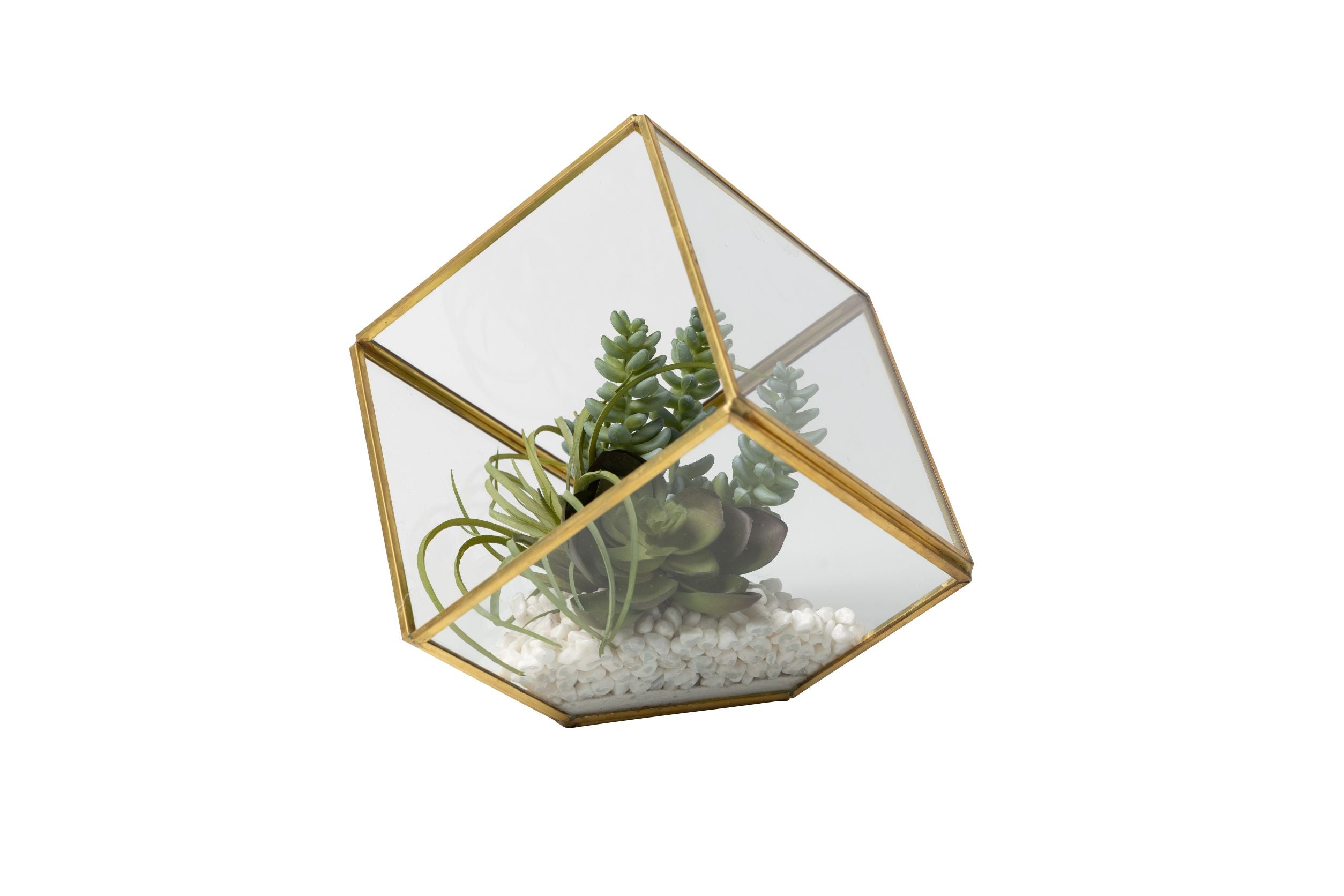 X-Small Gold Berkley Succulent Arrangement   AR1434