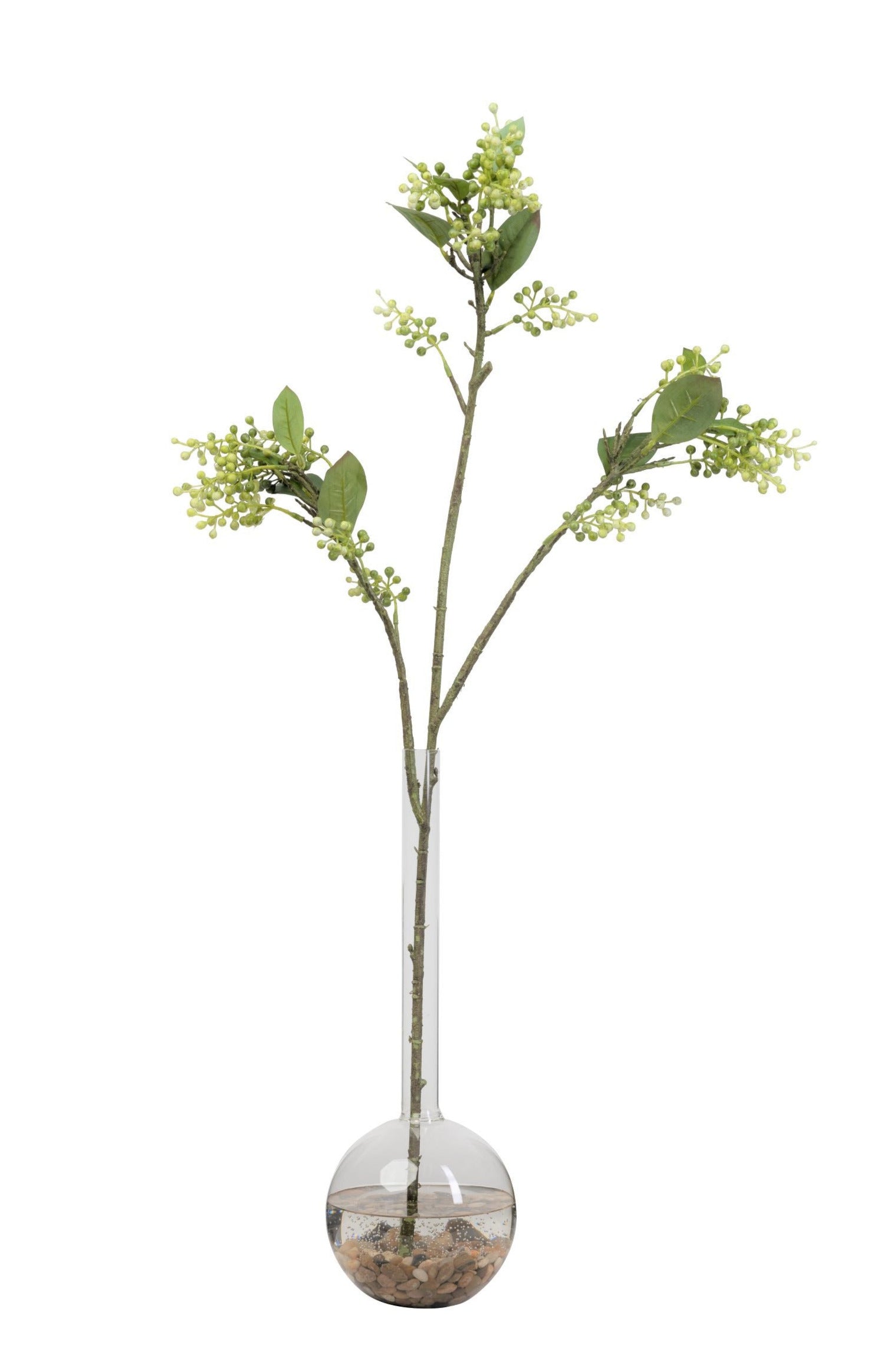 17" Bob a Loba with Single Stem Arrangement   AR1436