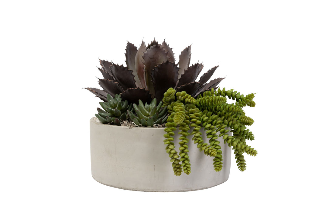 12" Corbin Bowl With Succulent Arrangement   AR1441