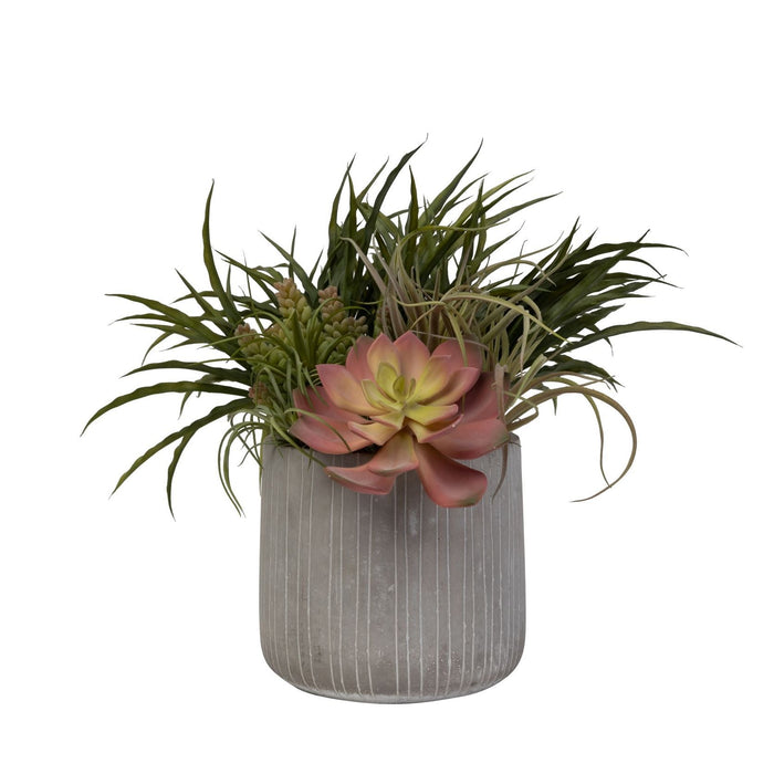 8" Sonora Pot with Succulent Arrangement   AR1450