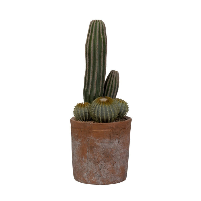 7" Kraken Pot with Cactus Arrangment   AR1466