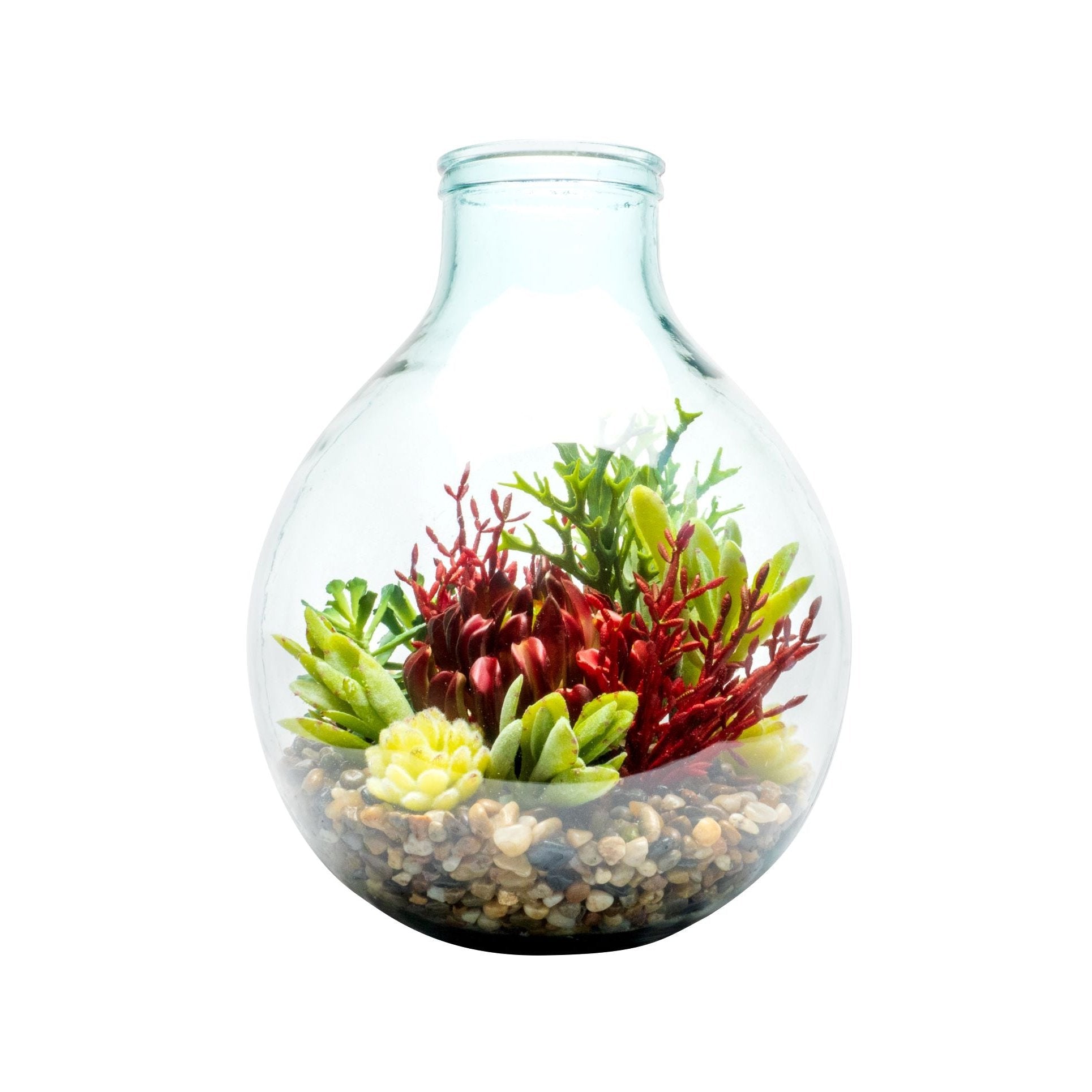 19" San Miguel Succulent Terrarium   AR1481