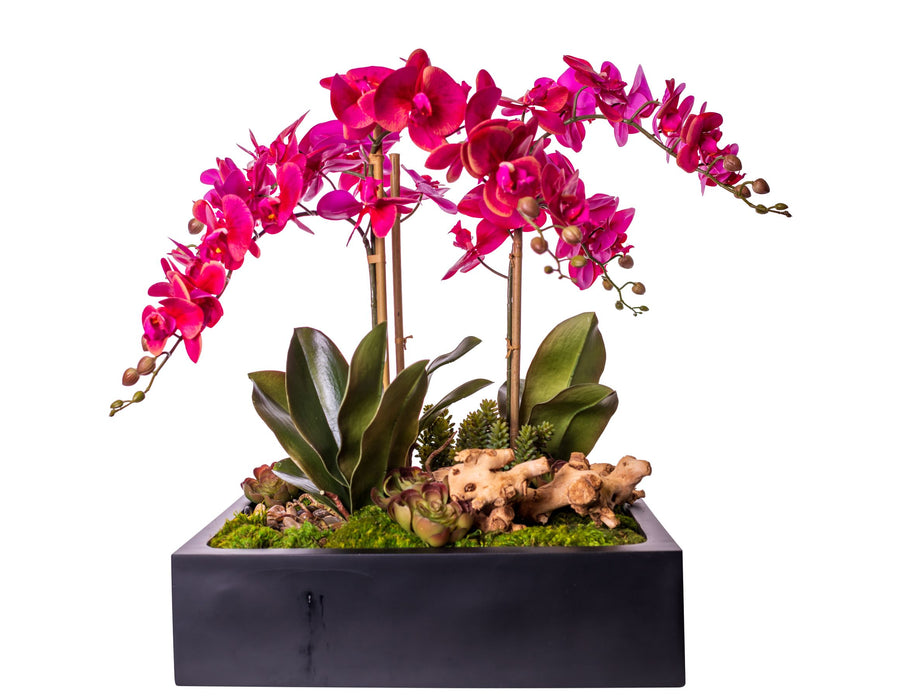 27” Black Sebastian Square Planter with Purple Orchid Arrangement   AR1498