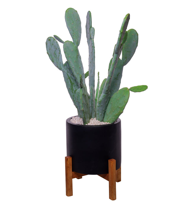 15.5” Black Korynn Cactus Arrangement   AR1499