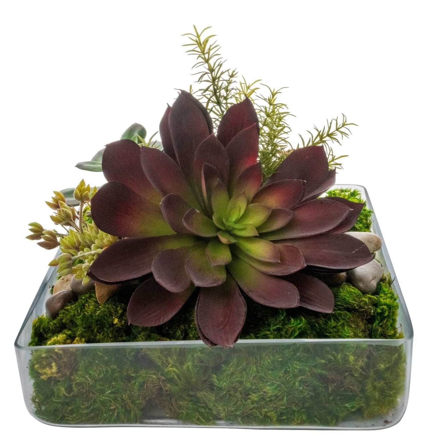 14" Shally Square Bowl with Red Succulent Arrangement   AR1501