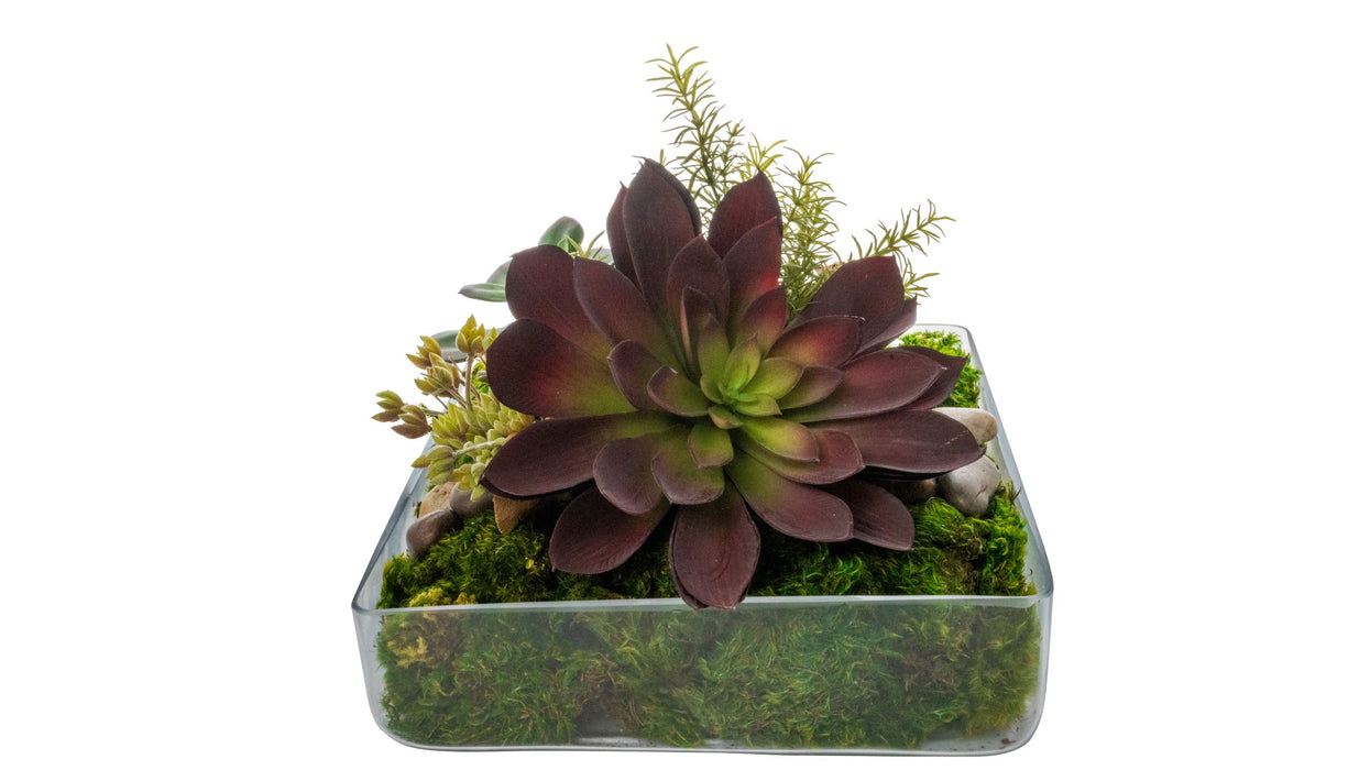 14" Shally Square Bowl with Red Succulent Arrangement   AR1501