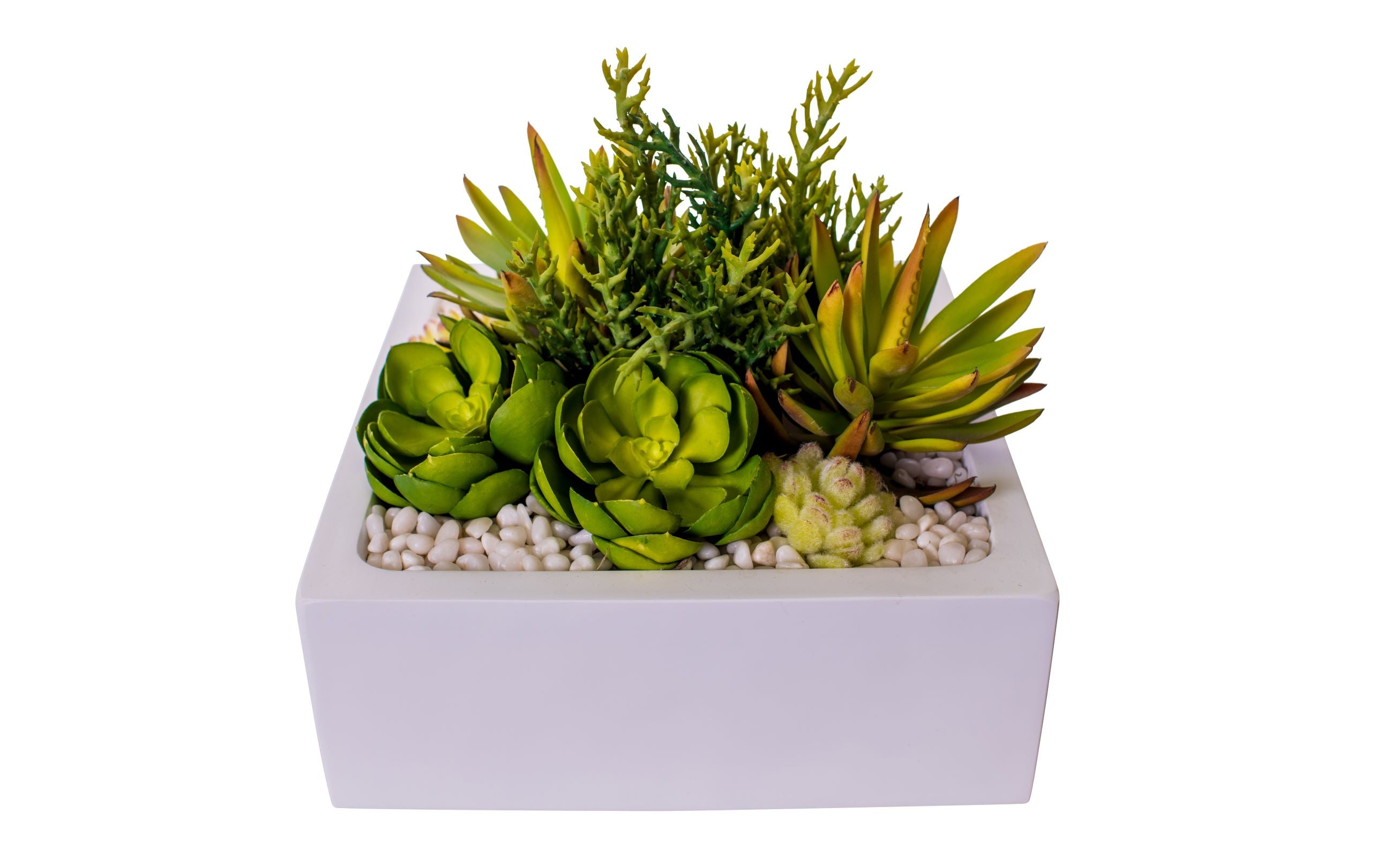 13" Sebastian Square Table Top Planter with White Pebbles   AR1503