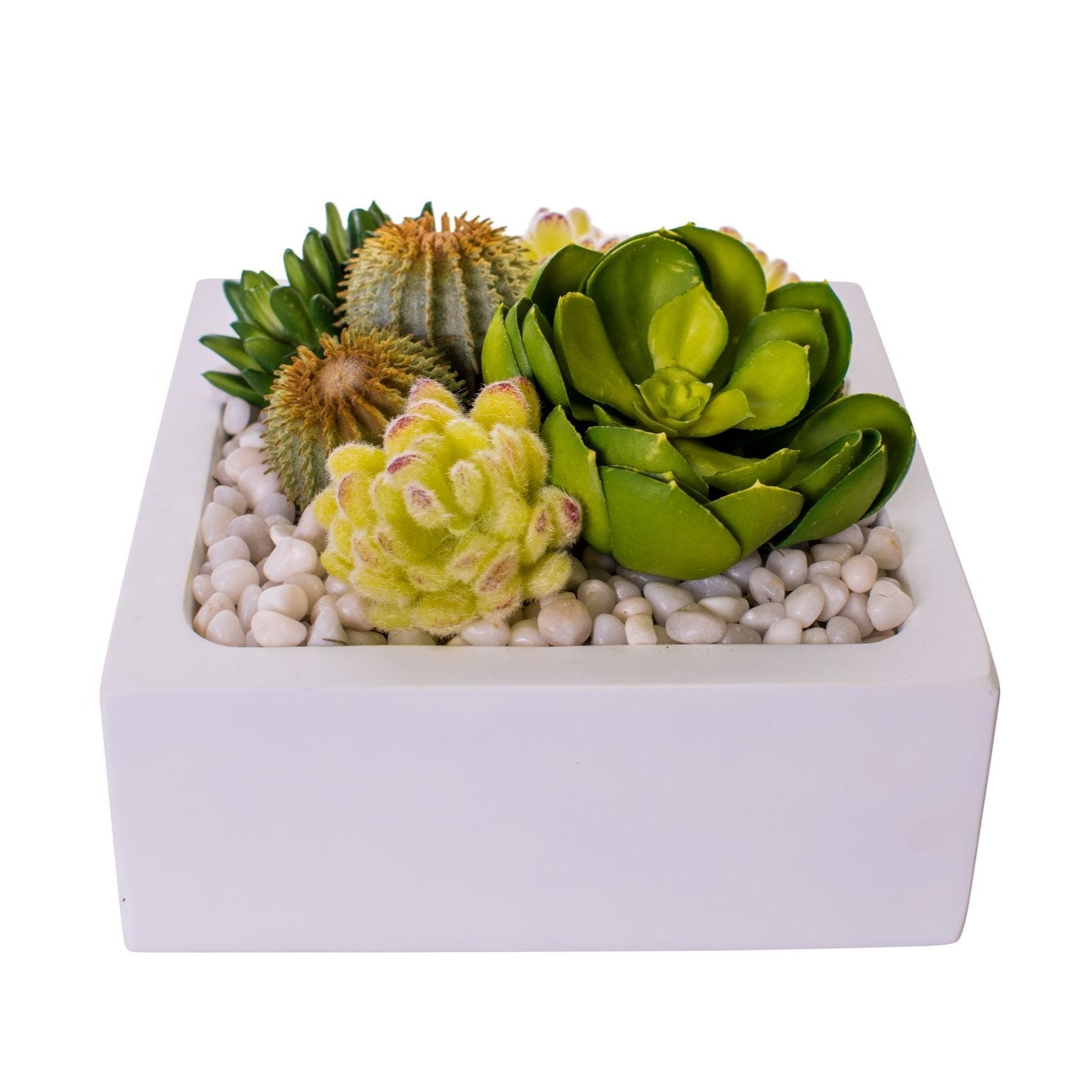 9" Sebastian Square Table Top Planter with White Pebbles    AR1504