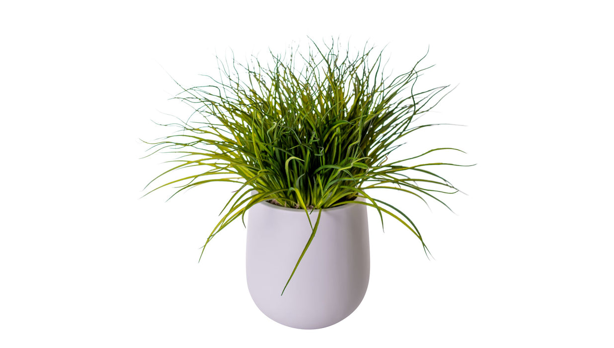 11" Abby Pot with Grass Arrangement   AR1515