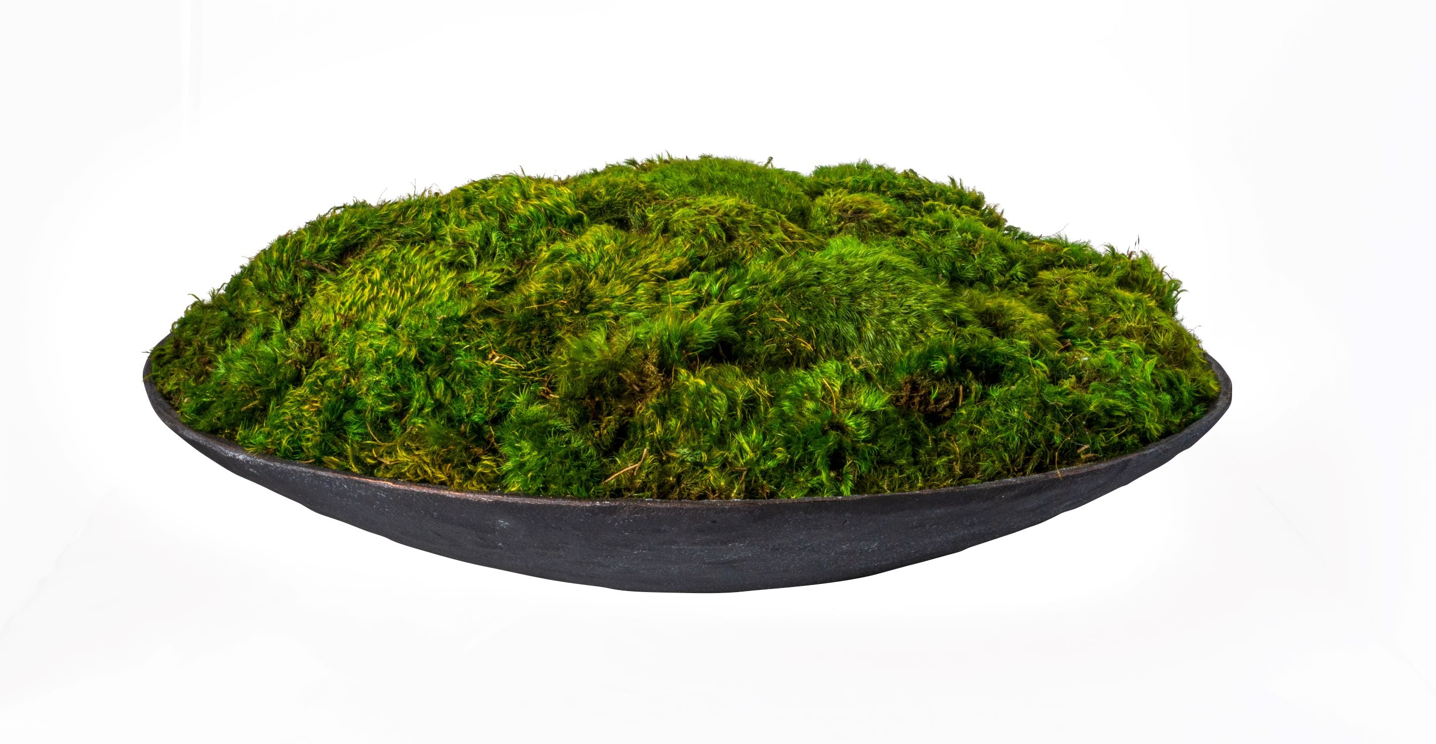 20" Tysen Metal Bowl with Mood Moss  AR1520