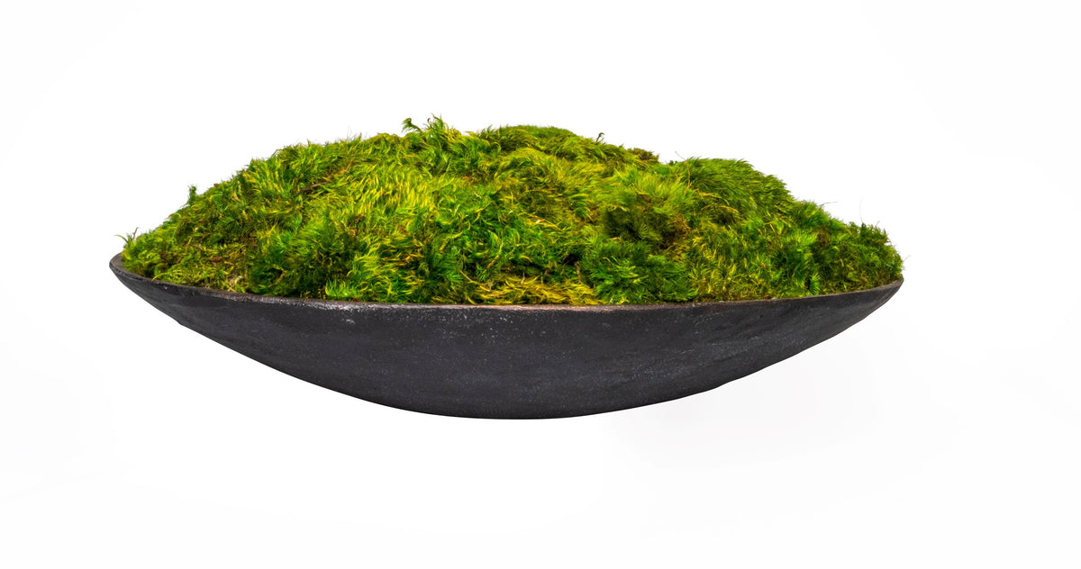 Mood Moss Arrangement in Round Bowl – Creative Displays and Designs inc