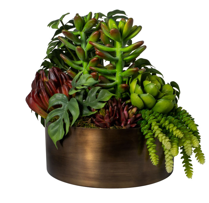 12" Taryn Bowl with Succulent Arrangement   AR1521