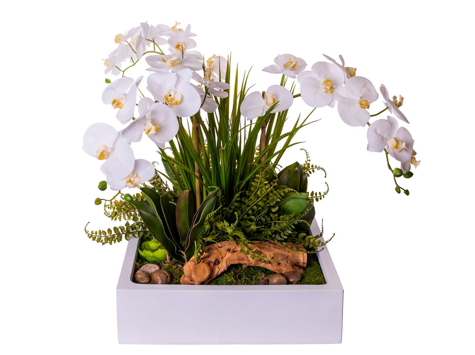 19" Sebastian Square Table Top Planter with Orchid Arrangement   AR1528