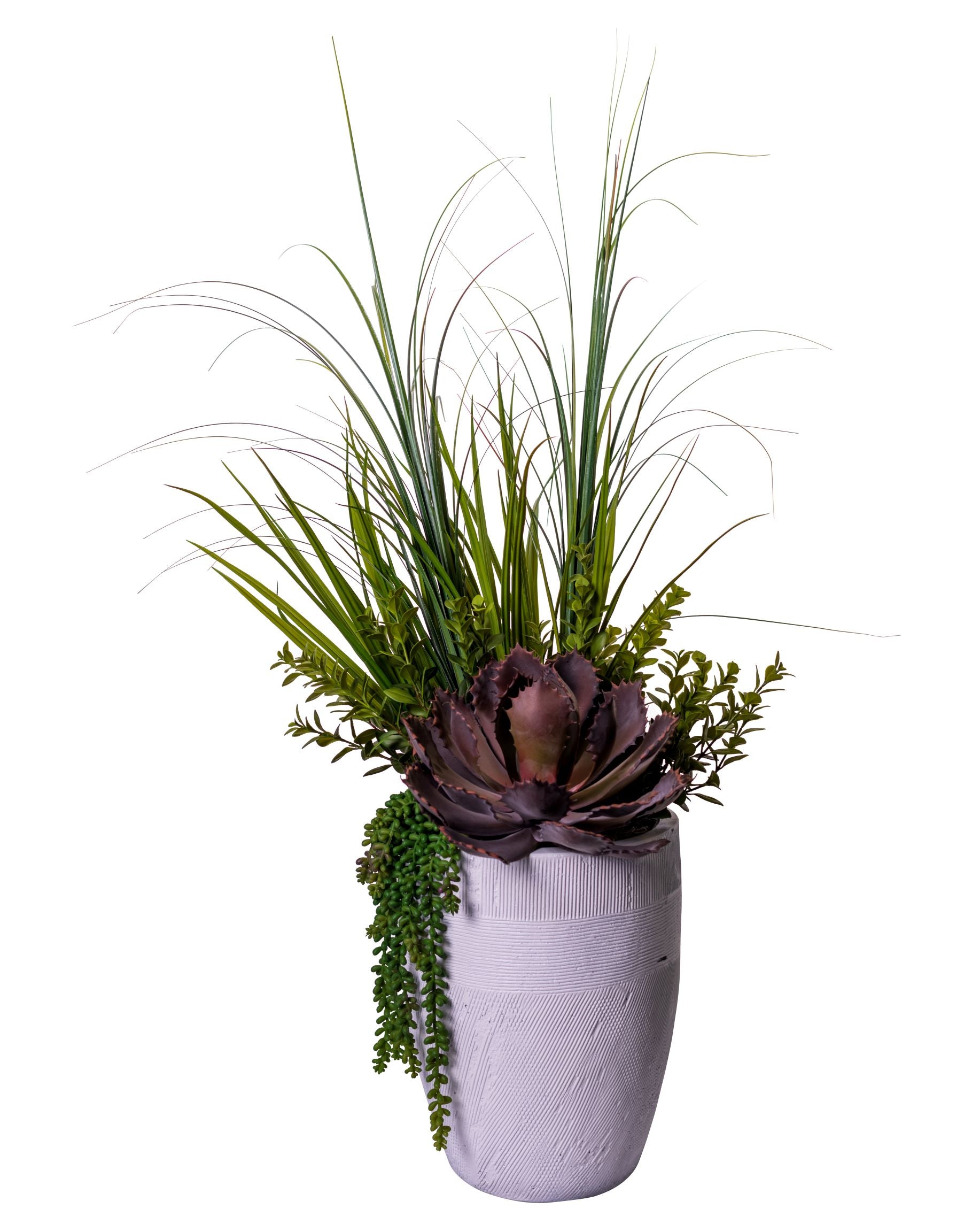 13.5" Milani with Grass Succulent Arrangement   AR1533