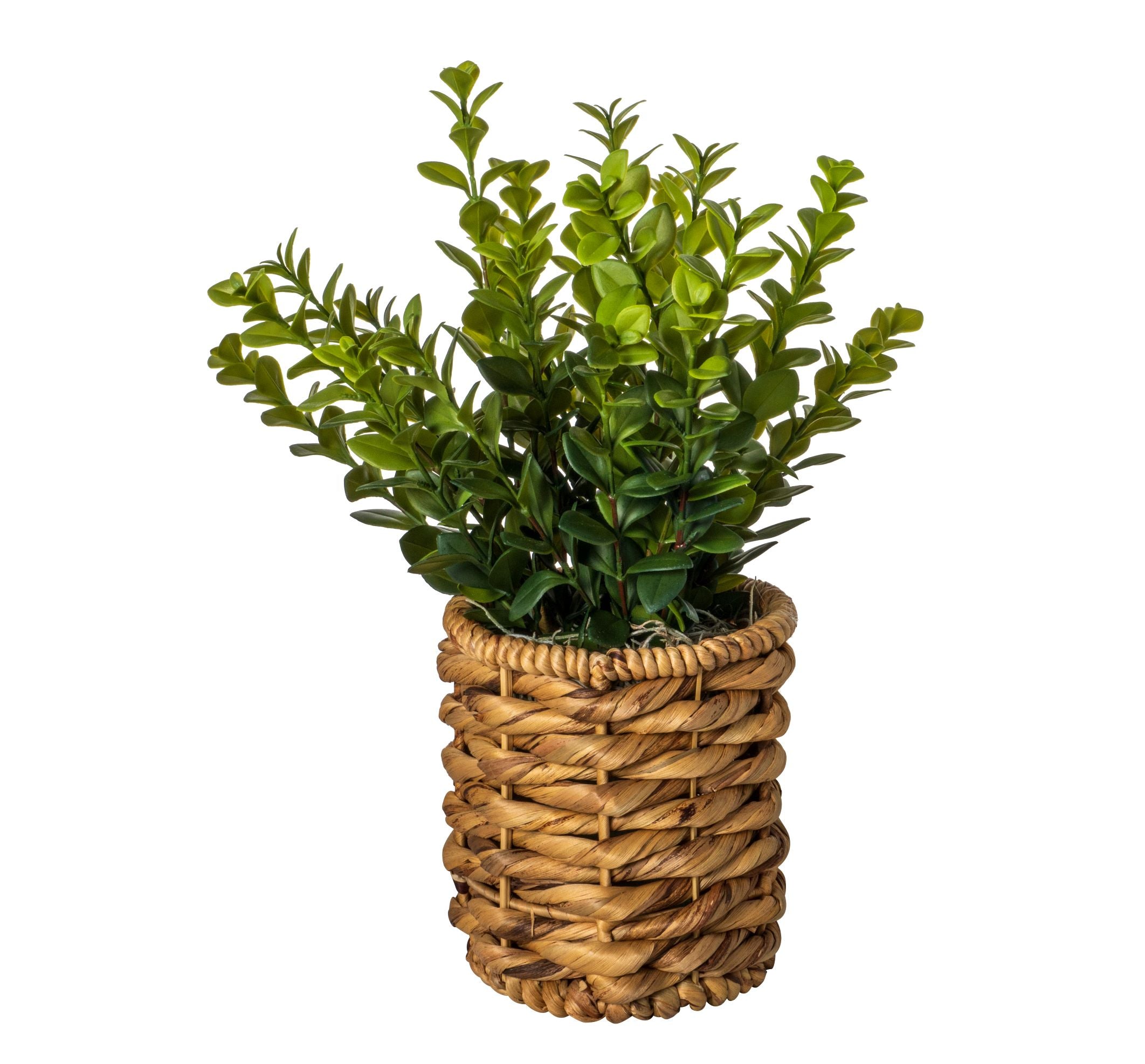 6" Natural Twist Weave Basket with Jade Arrangement   AR1537