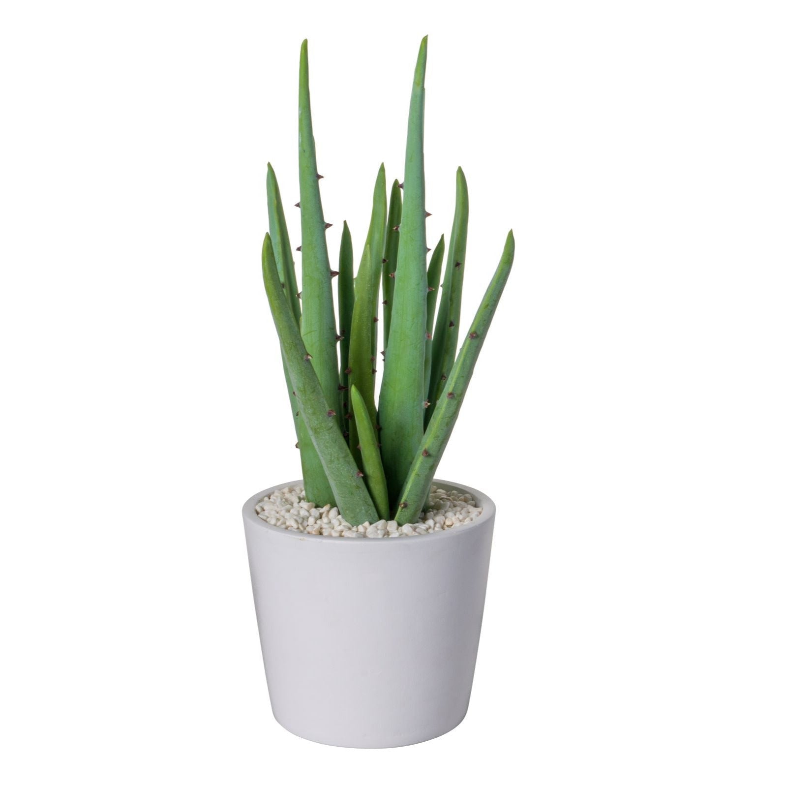 Ardie Pot with Aloe Arrangement   AR1555