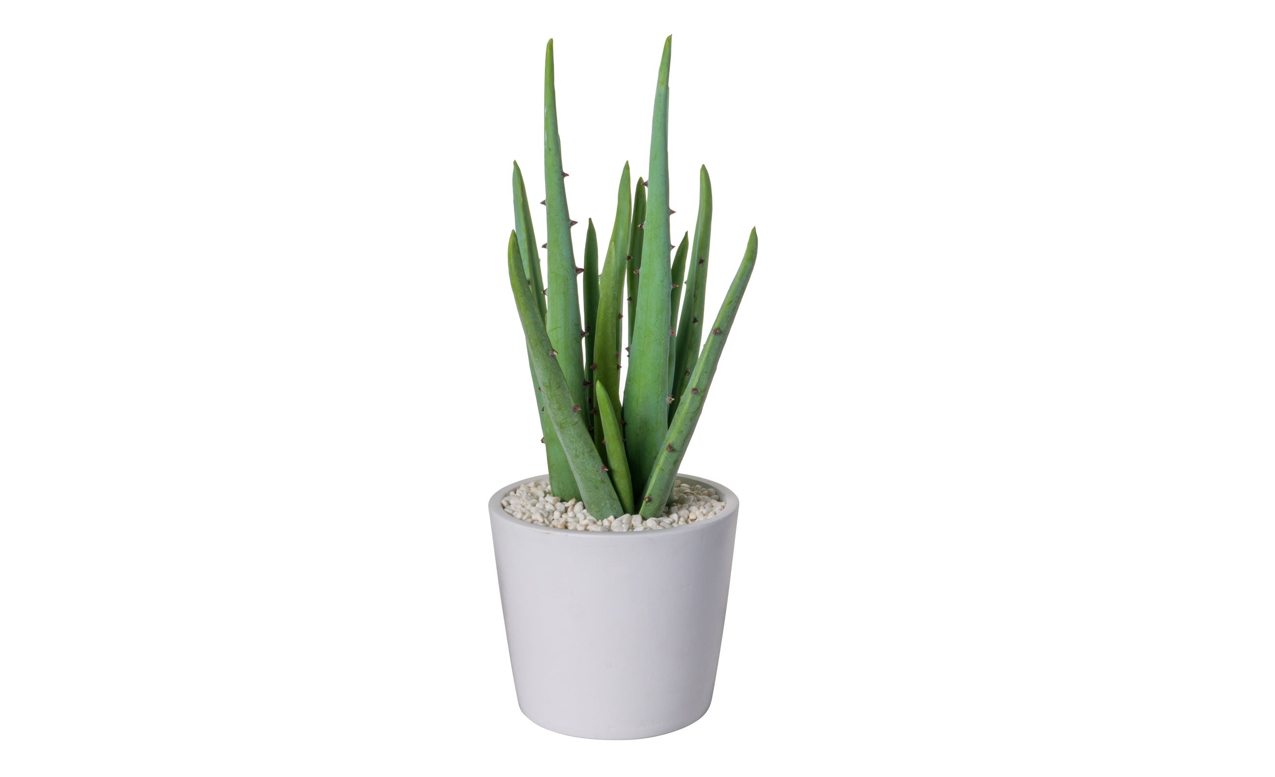 Ardie Pot with Aloe Arrangement   AR1555